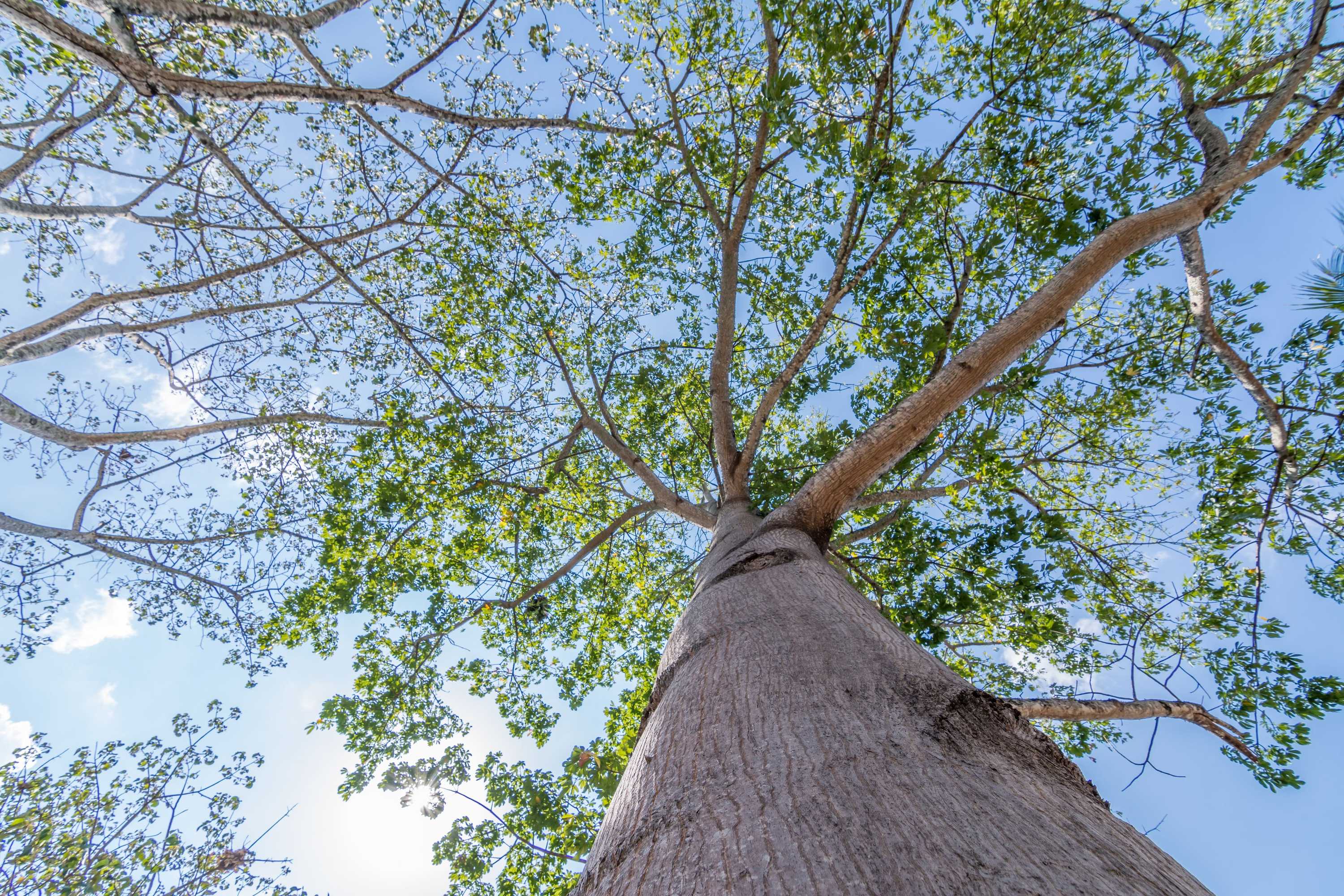 Gift card for Hotel Colinas Del Sol