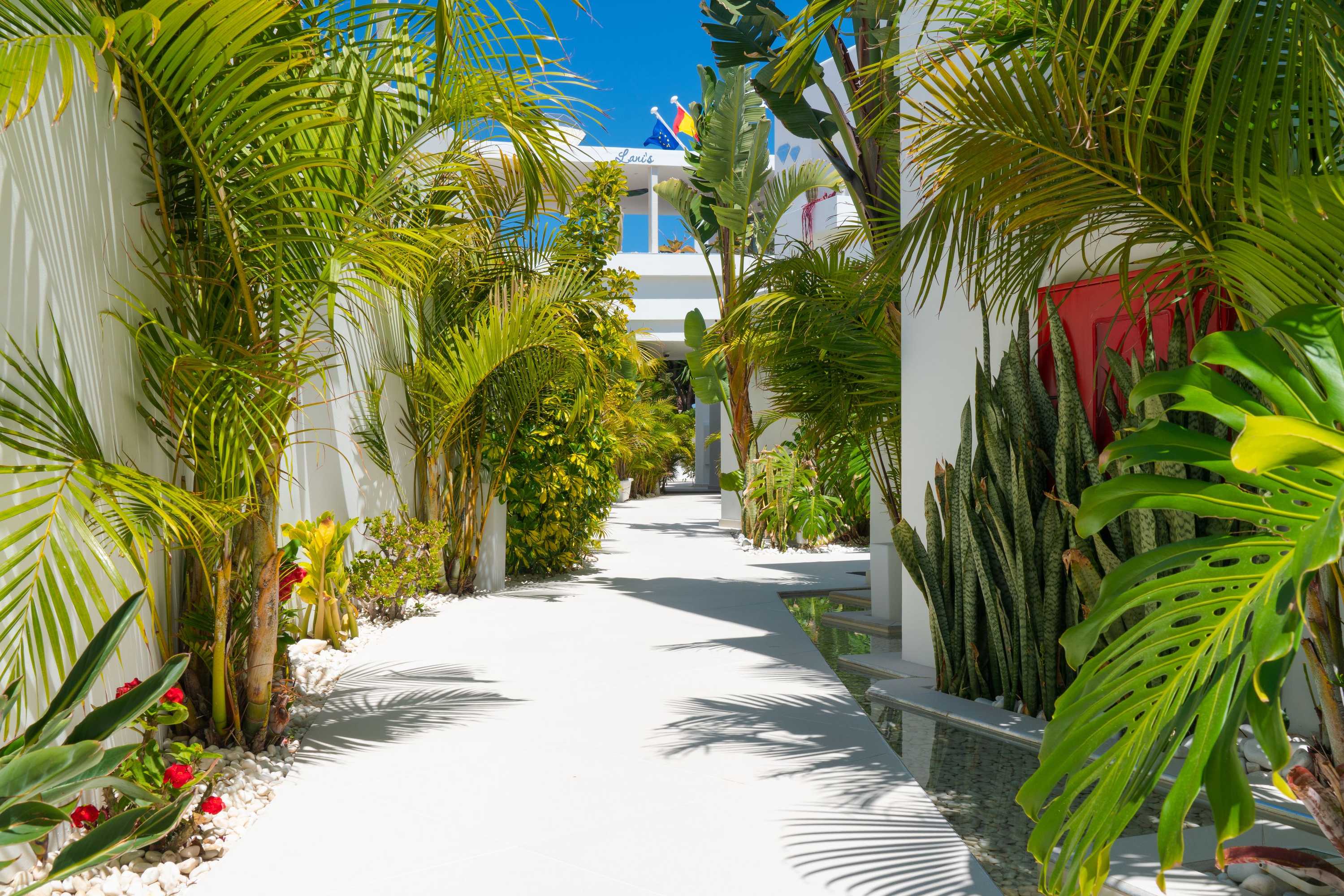 Gift card for Lani's Suites de Luxe - Adults Only Gift card for Lani's Suites de Luxe - Adults Only