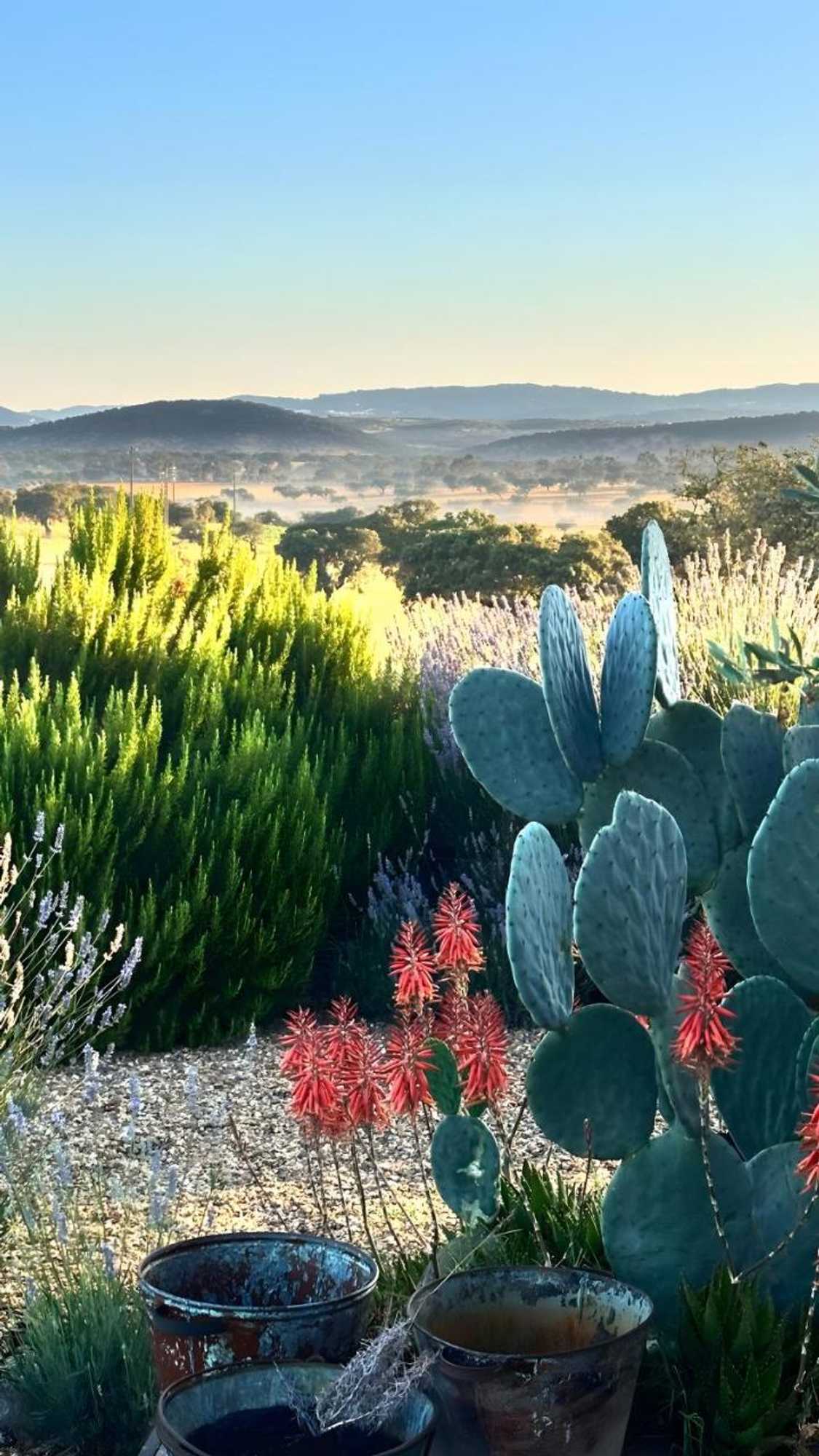 Gift card for Herdade da Carapuça