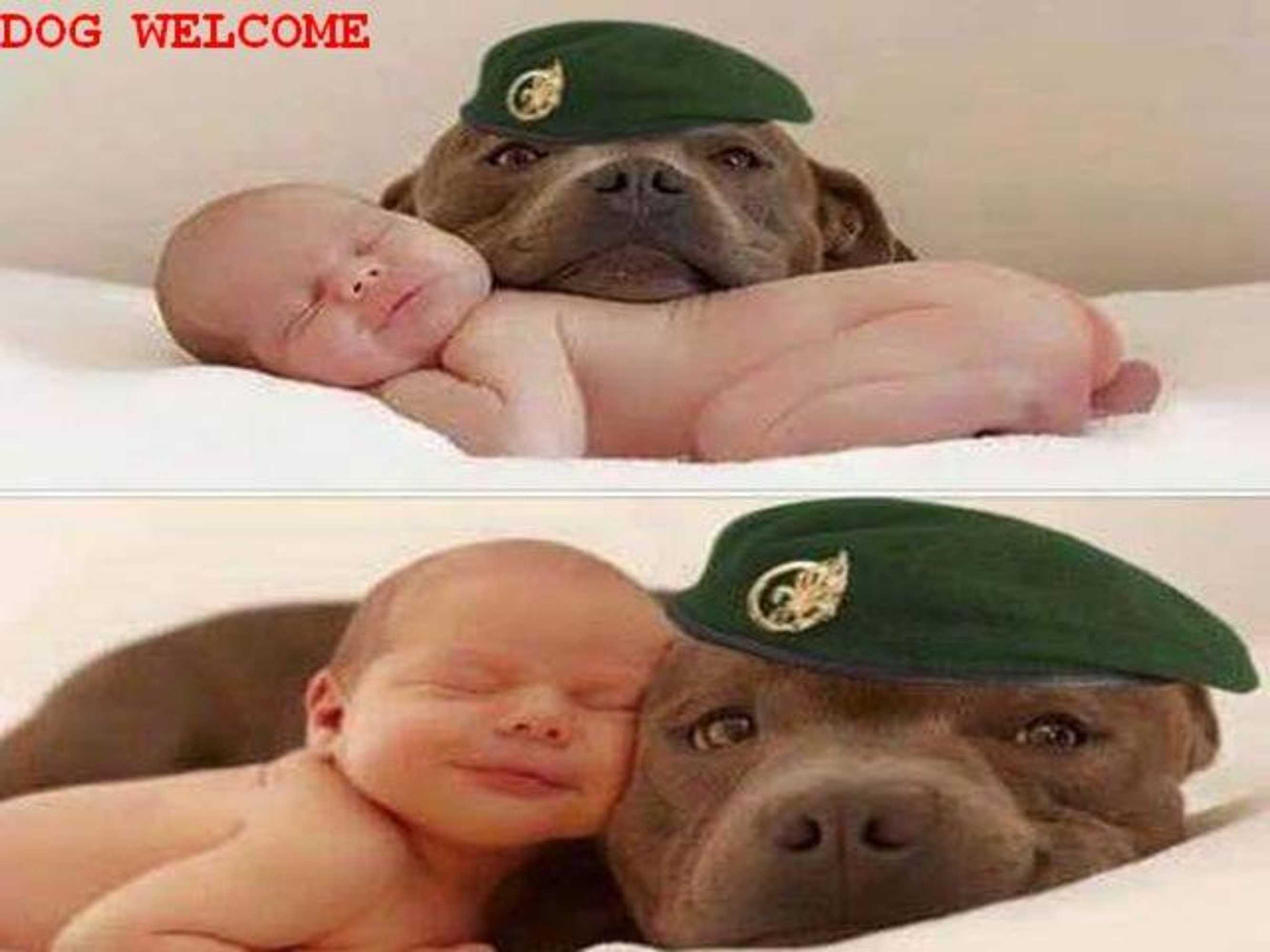 Gift card for Waldhotel