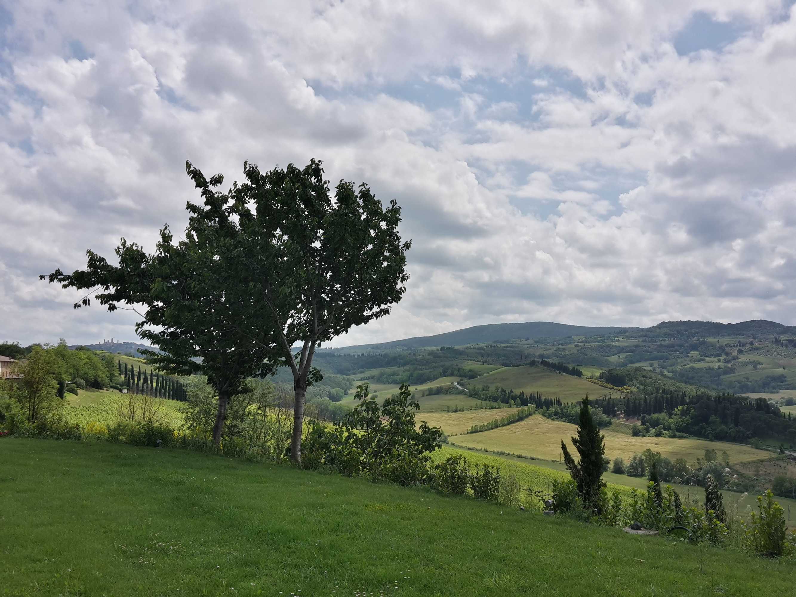 Gift card for Poderi Arcangelo Gift card for Poderi Arcangelo