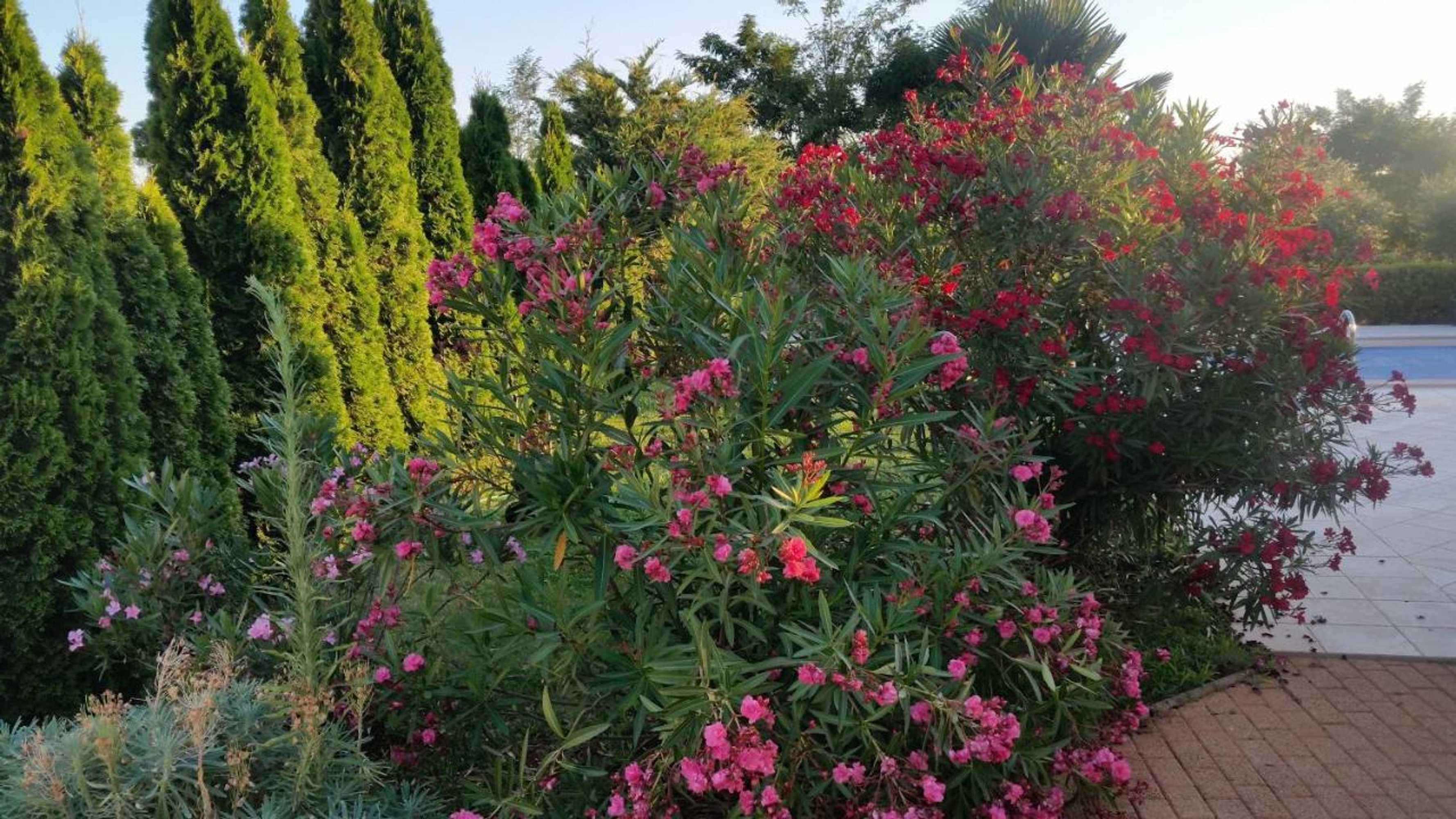 Gift card for Villa Parenzo