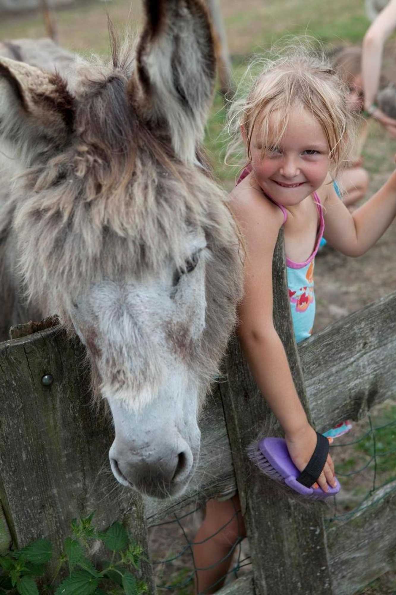 Gift card for Bed And Breakfast Annen