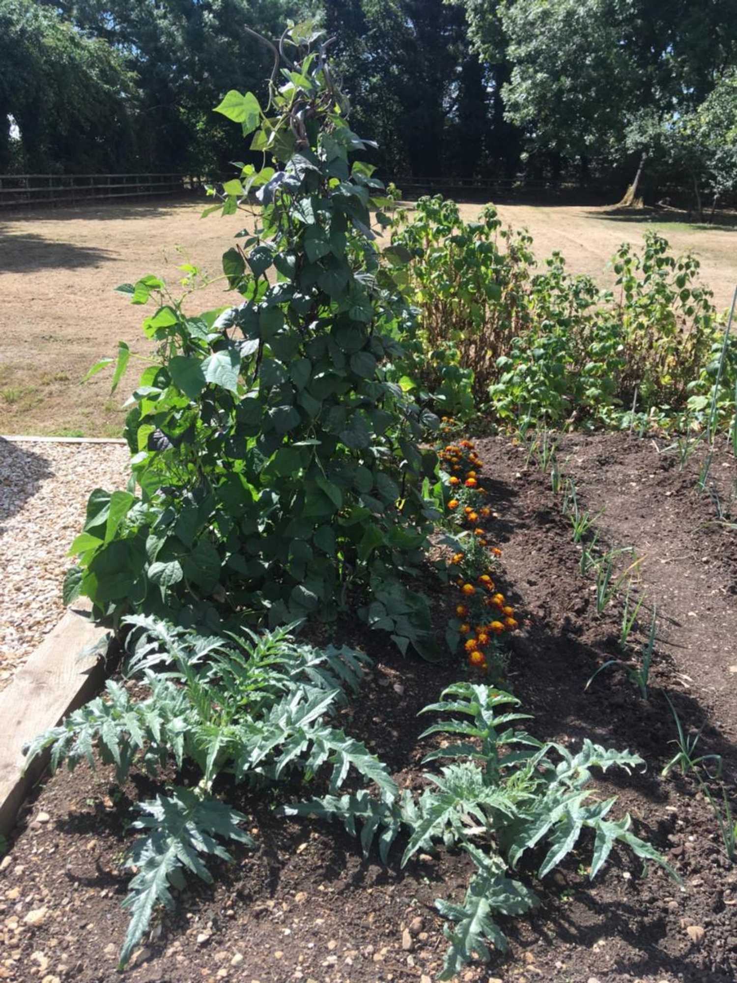 Gift card for Field End House Strawberry Lane Meysey Hampton