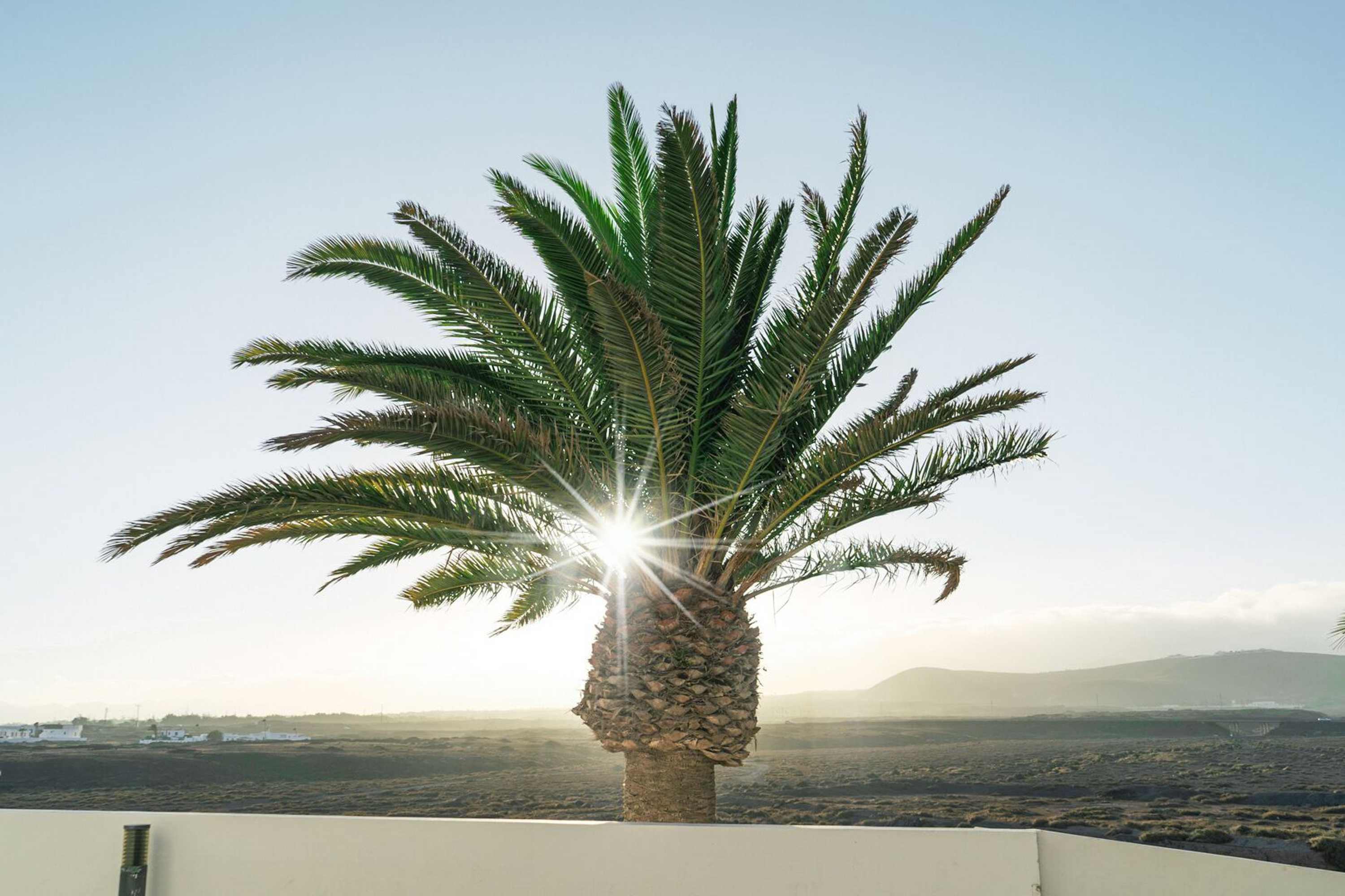 Gift card for Sentido Aequora Lanzarote Suites Gift card for Sentido Aequora Lanzarote Suites