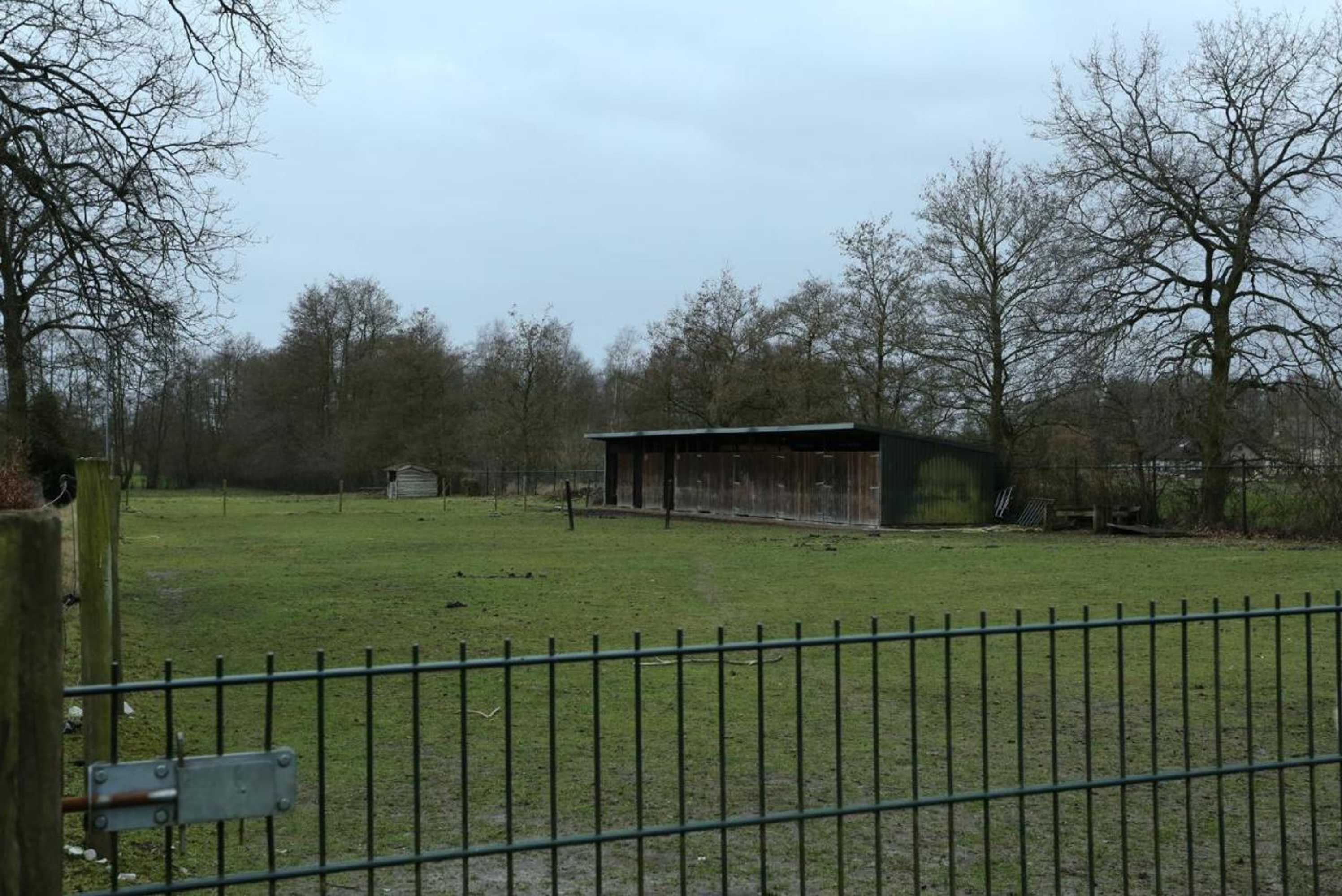 Gift card for B&b Dream On Wheels