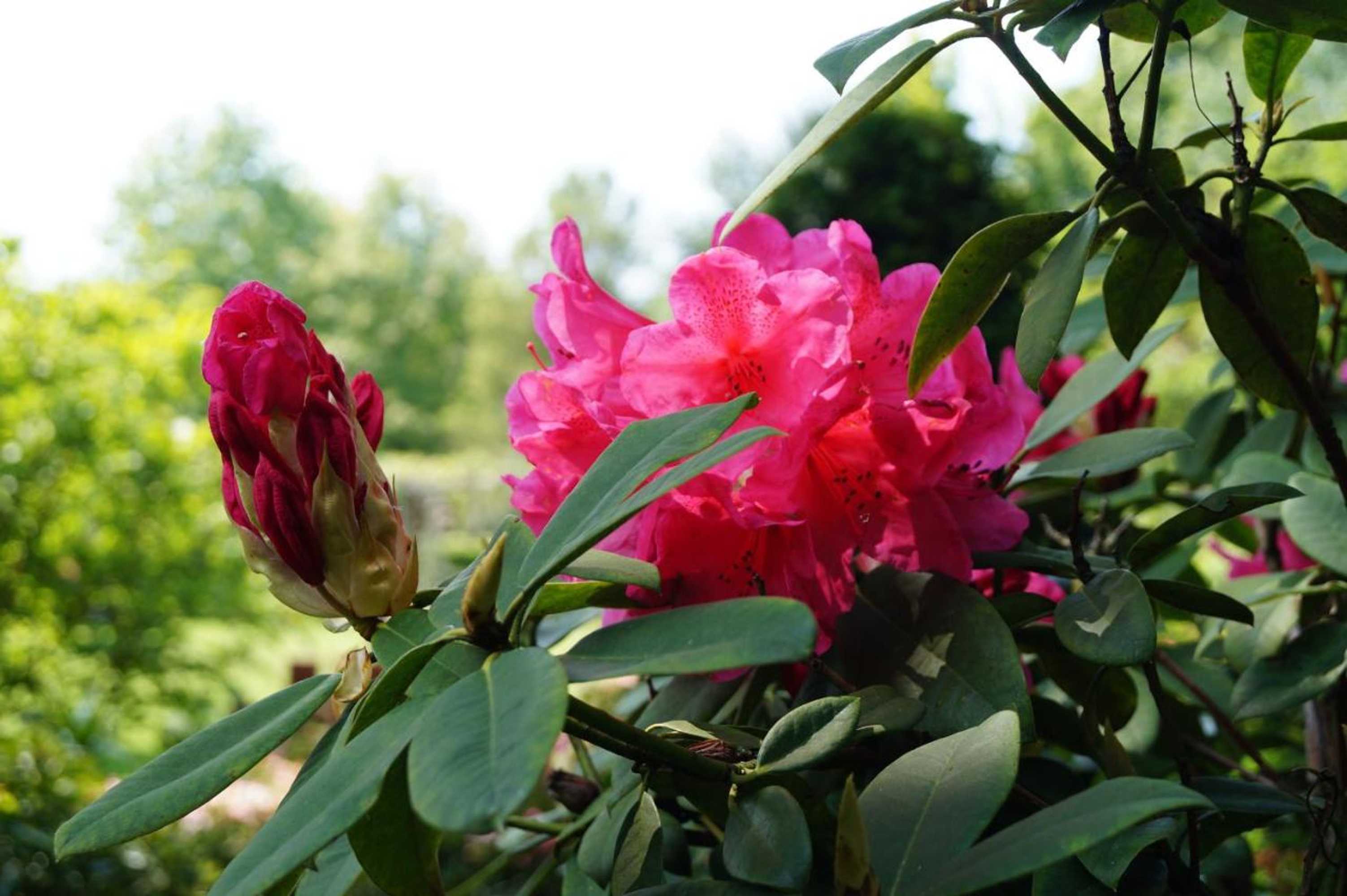 Gift card for Eersel's Groen