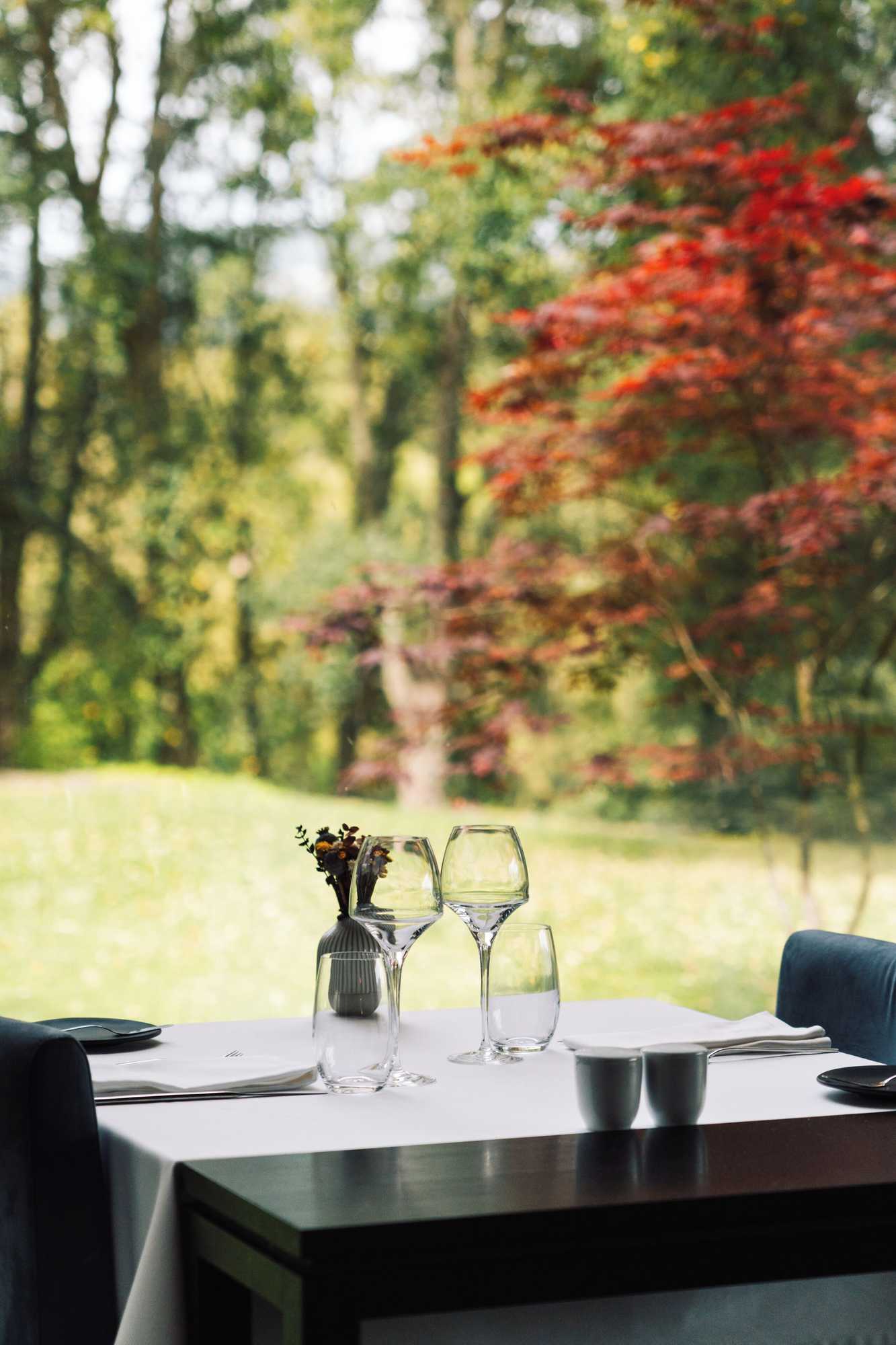 Gift card for Douro Palace Hotel Resort And Spa
