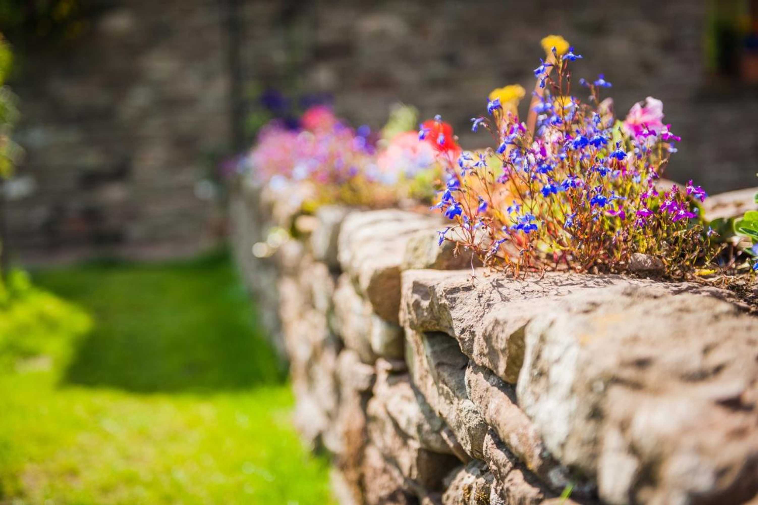 Gift card for Celyn Farm Bed & Breakfast Gift card for Celyn Farm Bed & Breakfast