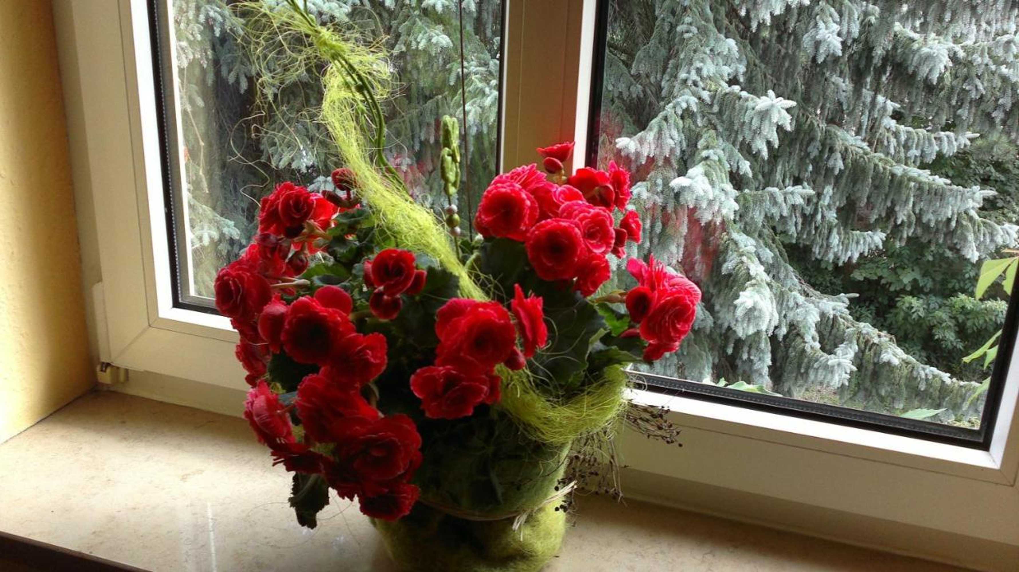 Gift card for Hotel Vinum