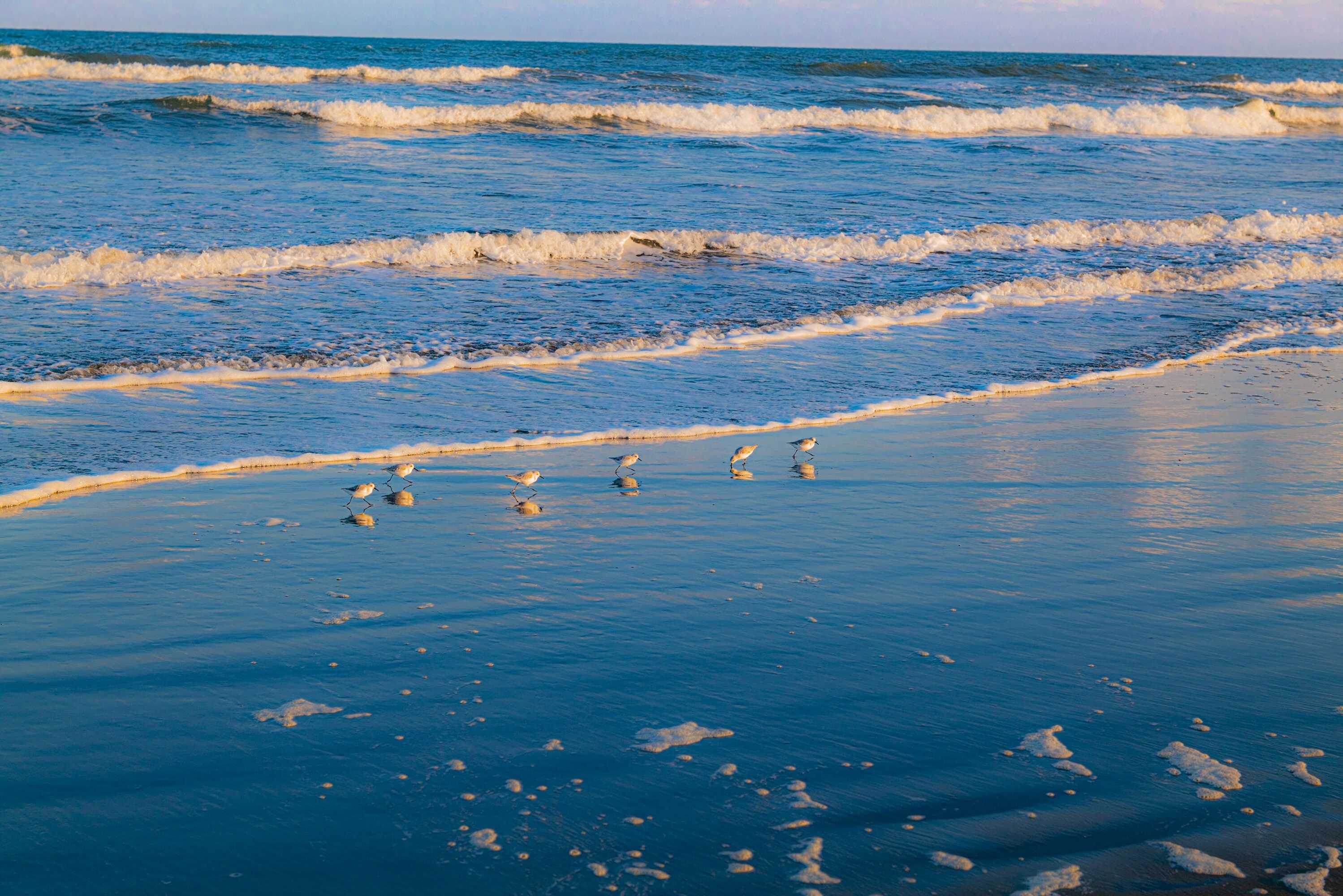 Gift card for Riviera Kujukuri Gift card for Riviera Kujukuri