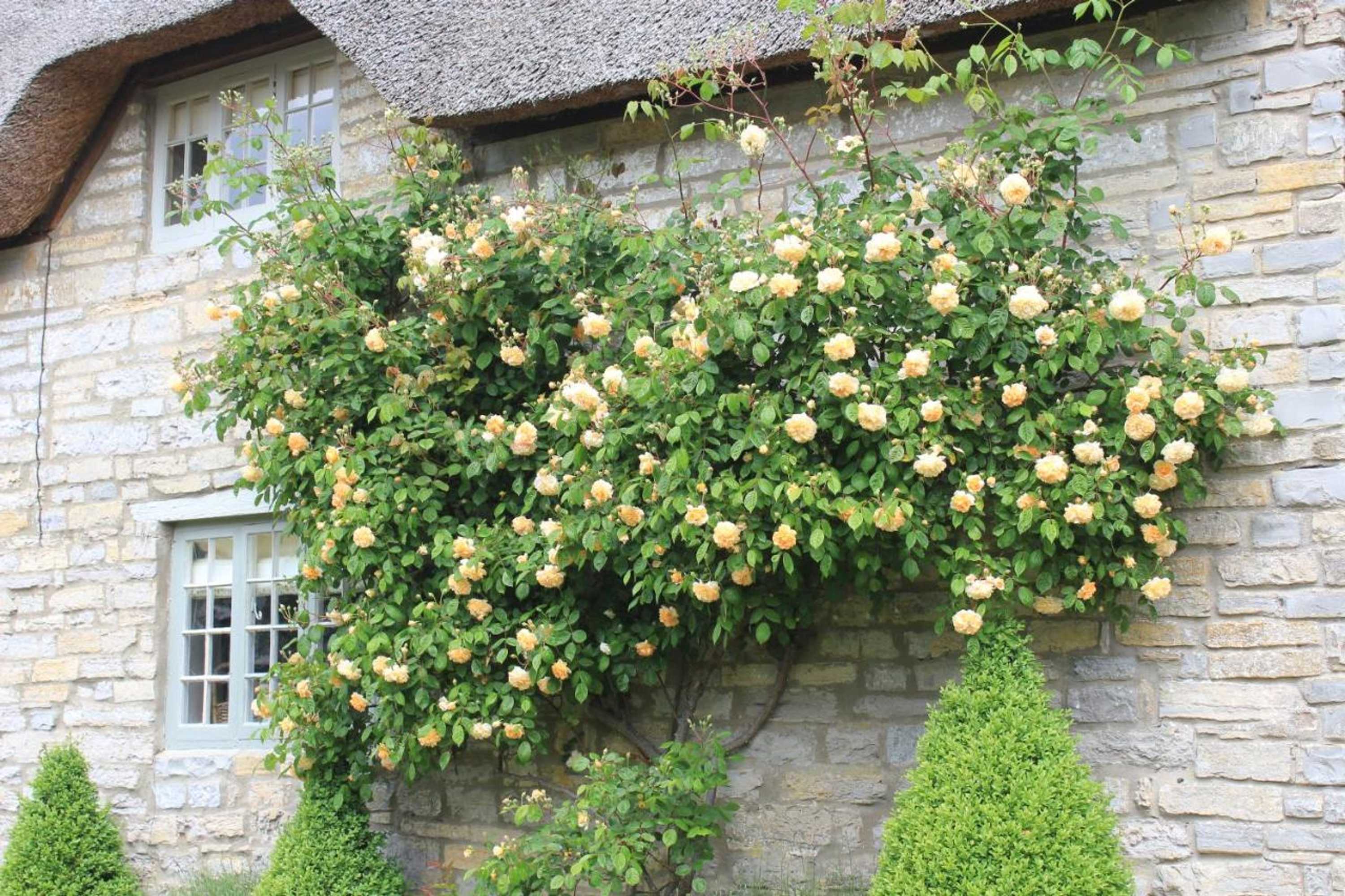 Gift card for West Knole House Somerset