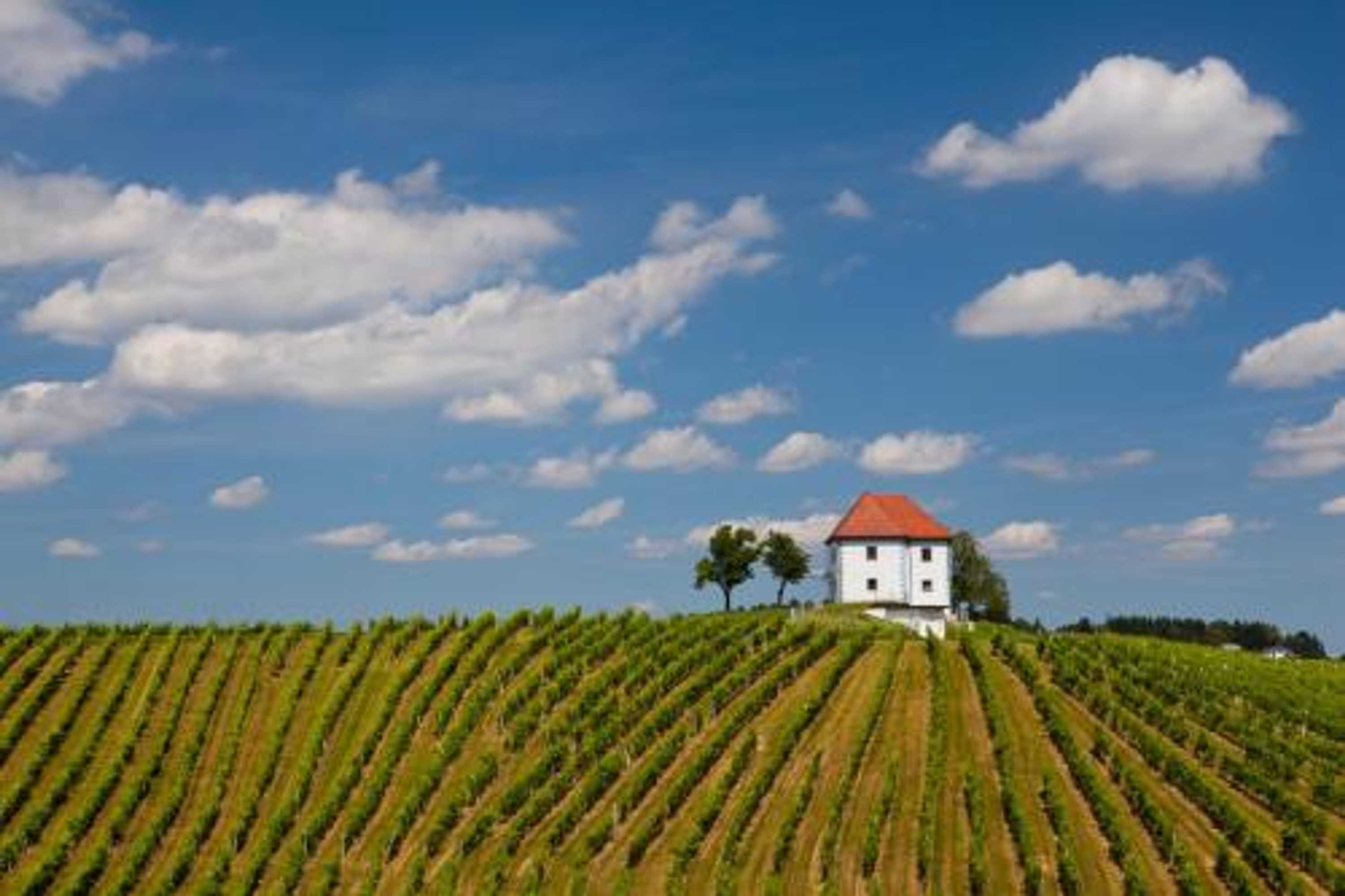 Gift card for Wine Grower's Mansion Zlati Gric Gift card for Wine Grower's Mansion Zlati Gric