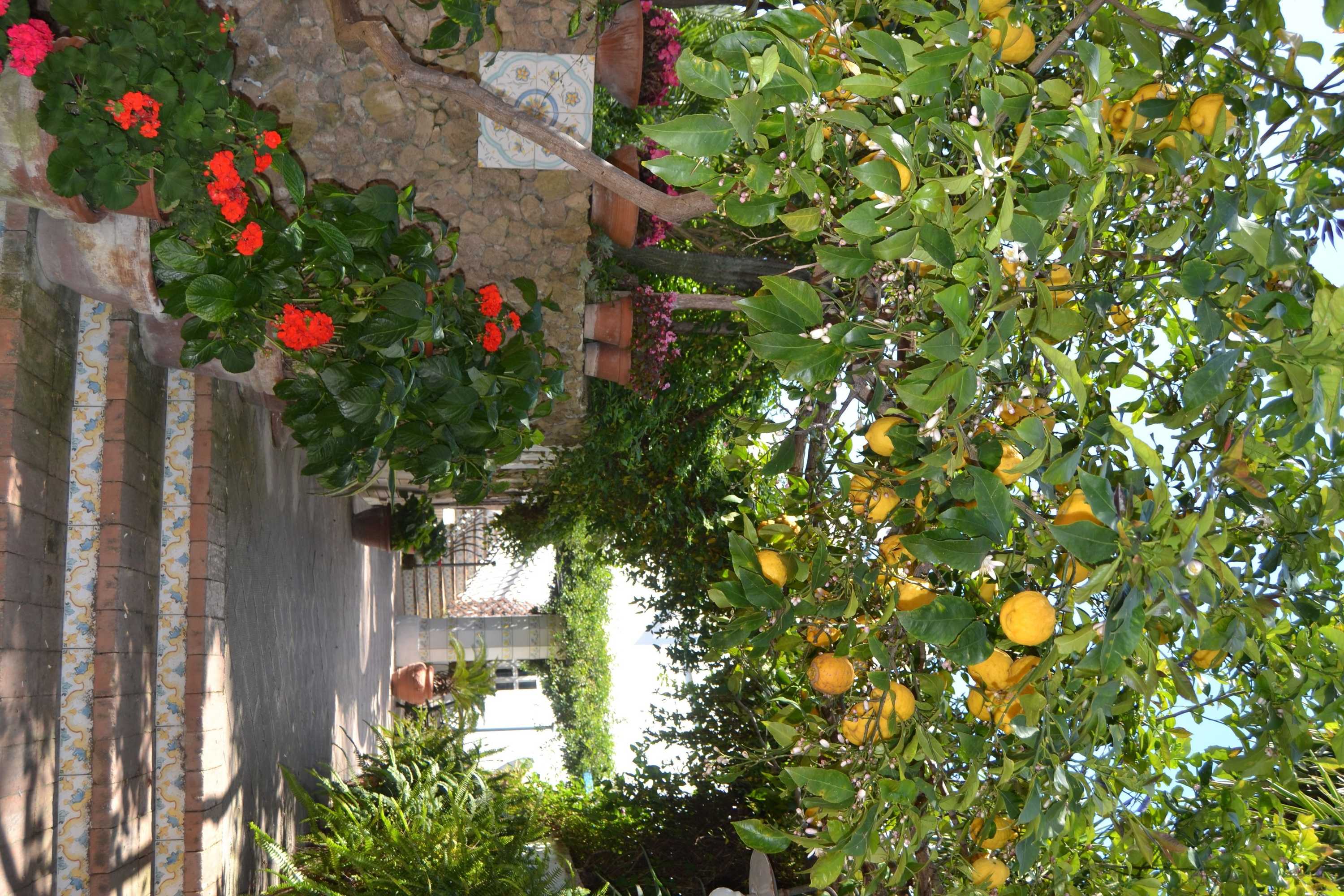 Gift card for Piccolo Tirreno Hotel Residence Gift card for Piccolo Tirreno Hotel Residence
