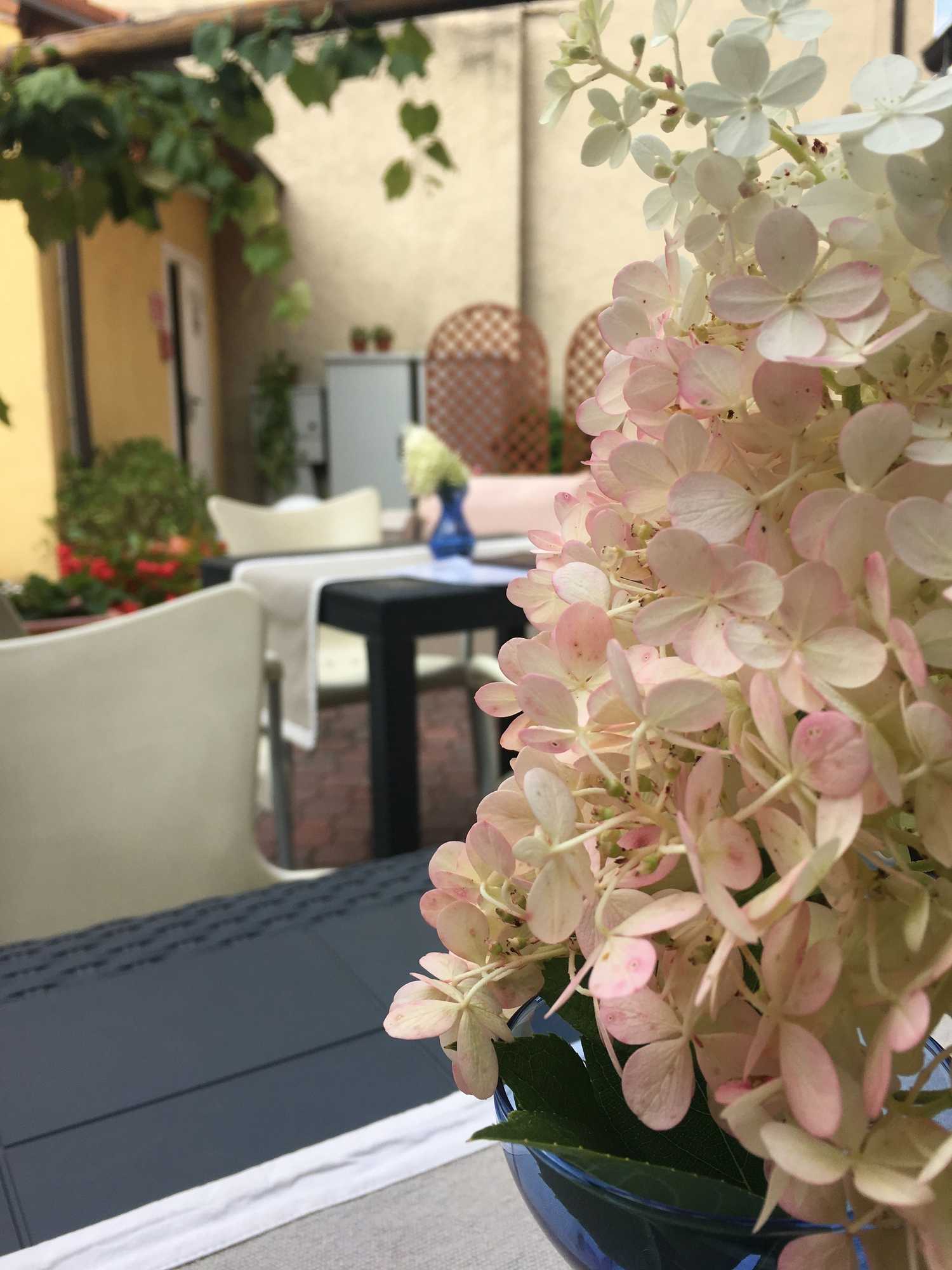 Gift card for Wine Hotel San Giacomo Activity & Wellness Gift card for Wine Hotel San Giacomo Activity & Wellness