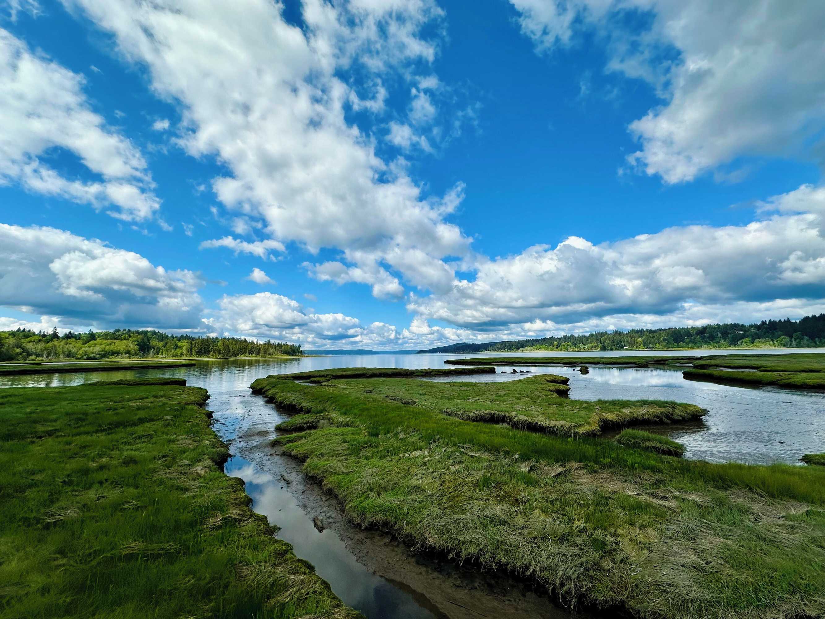 Gift card for Belfair Motel