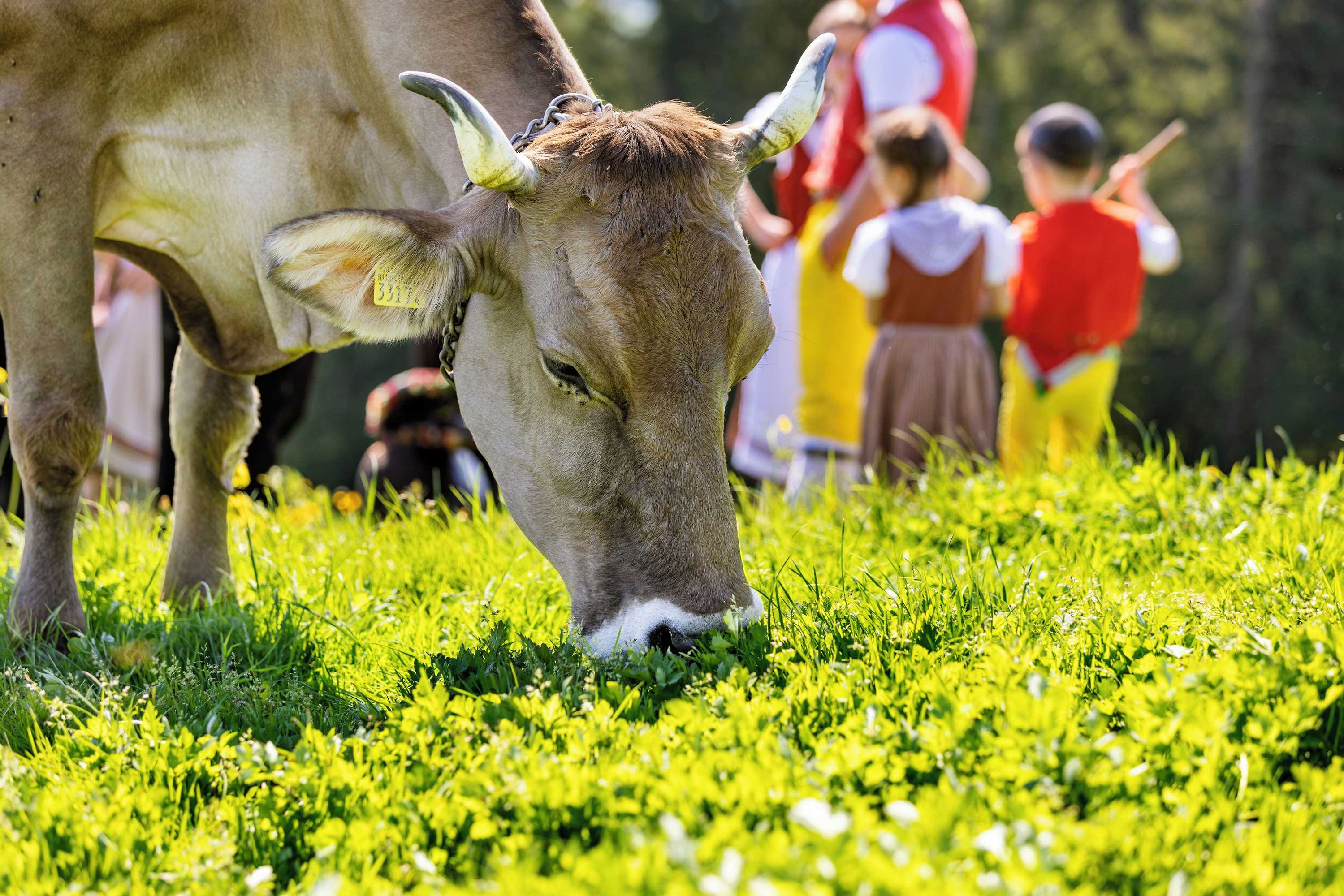 Gift card for Hotel- Restaurant Krone