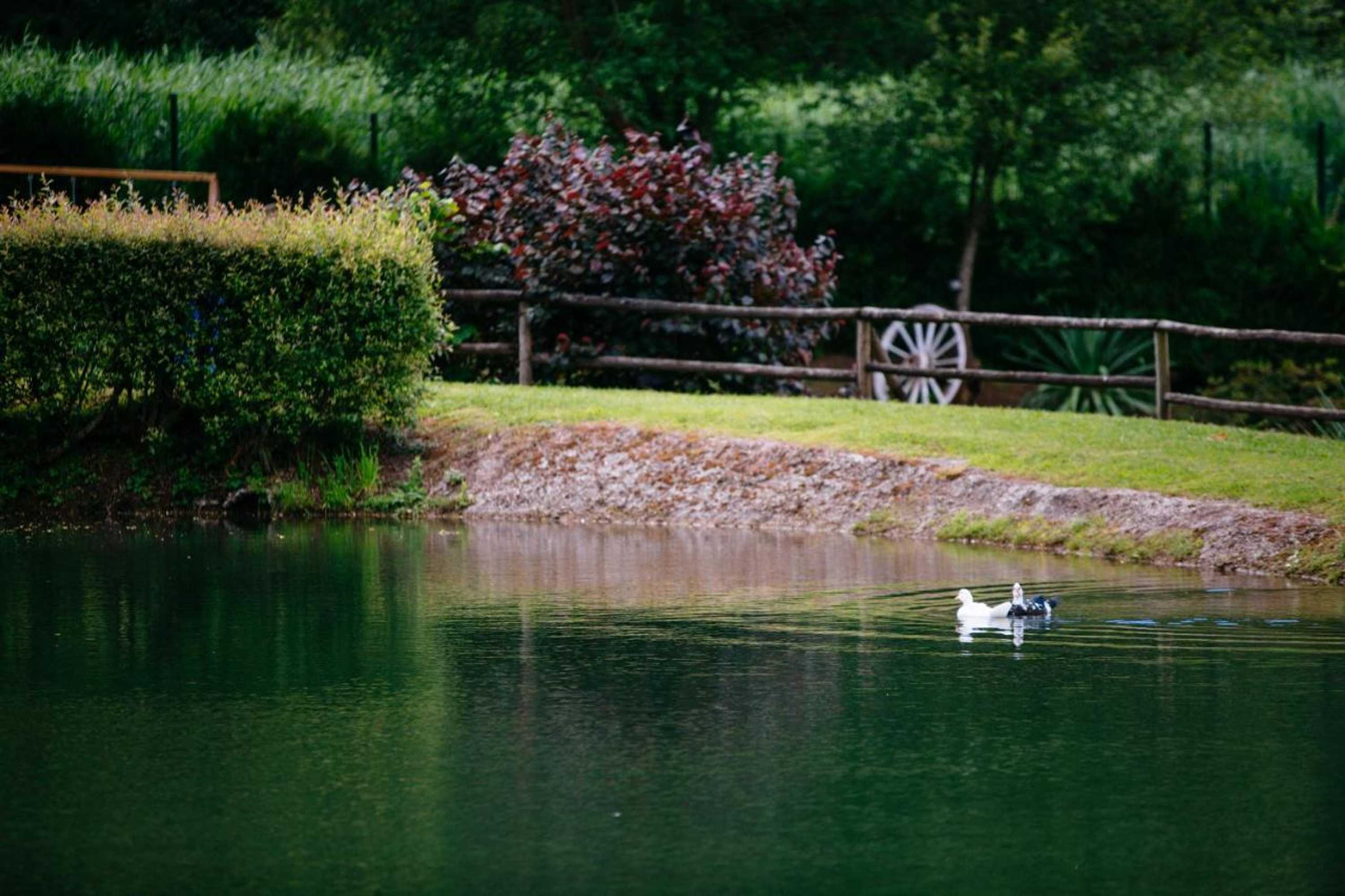 Gift card for Quinta do Rio Gerês