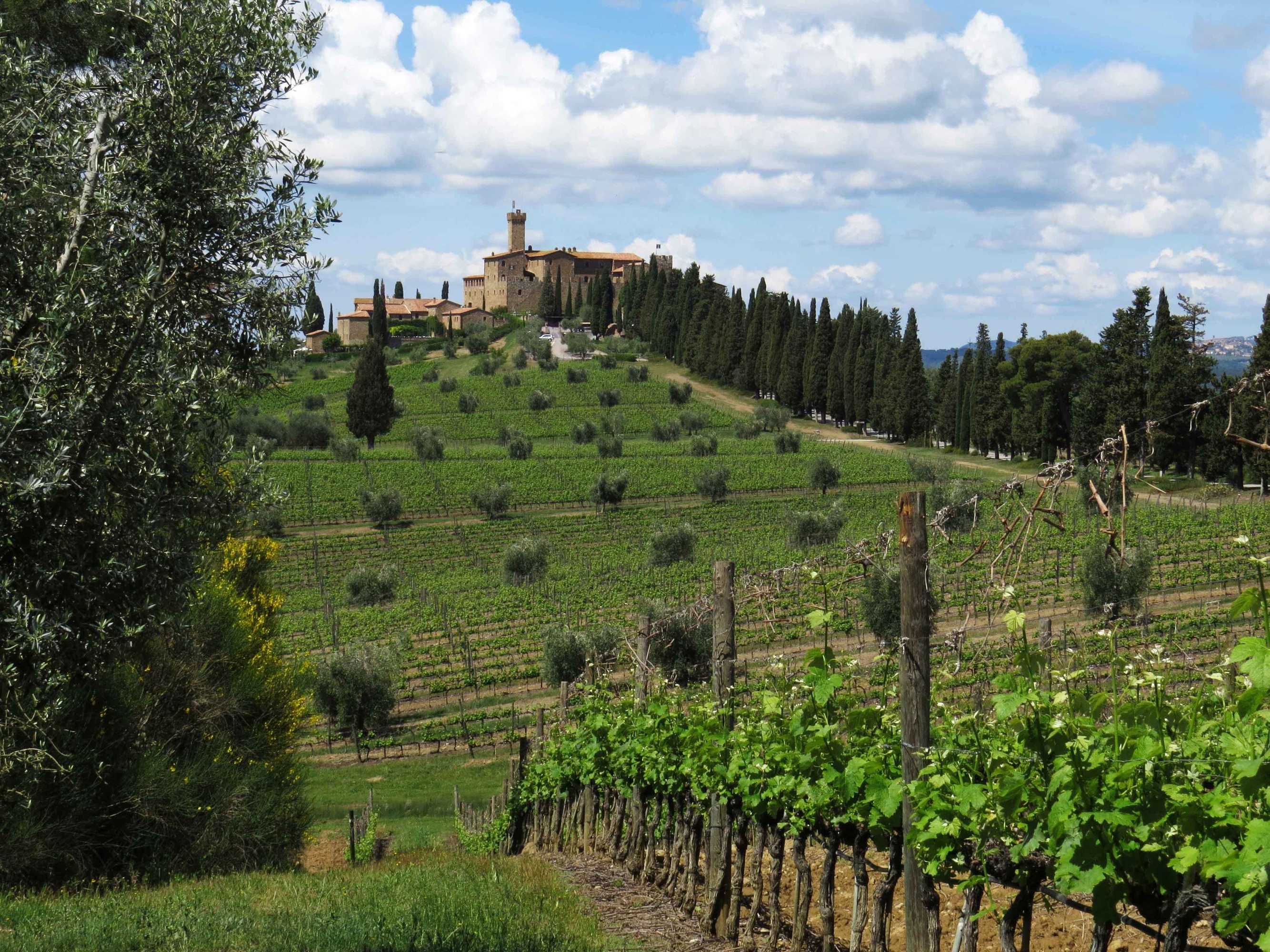 Gift card for Castello Banfi - Il Borgo - Relais et Chateaux Gift card for Castello Banfi - Il Borgo - Relais et Chateaux