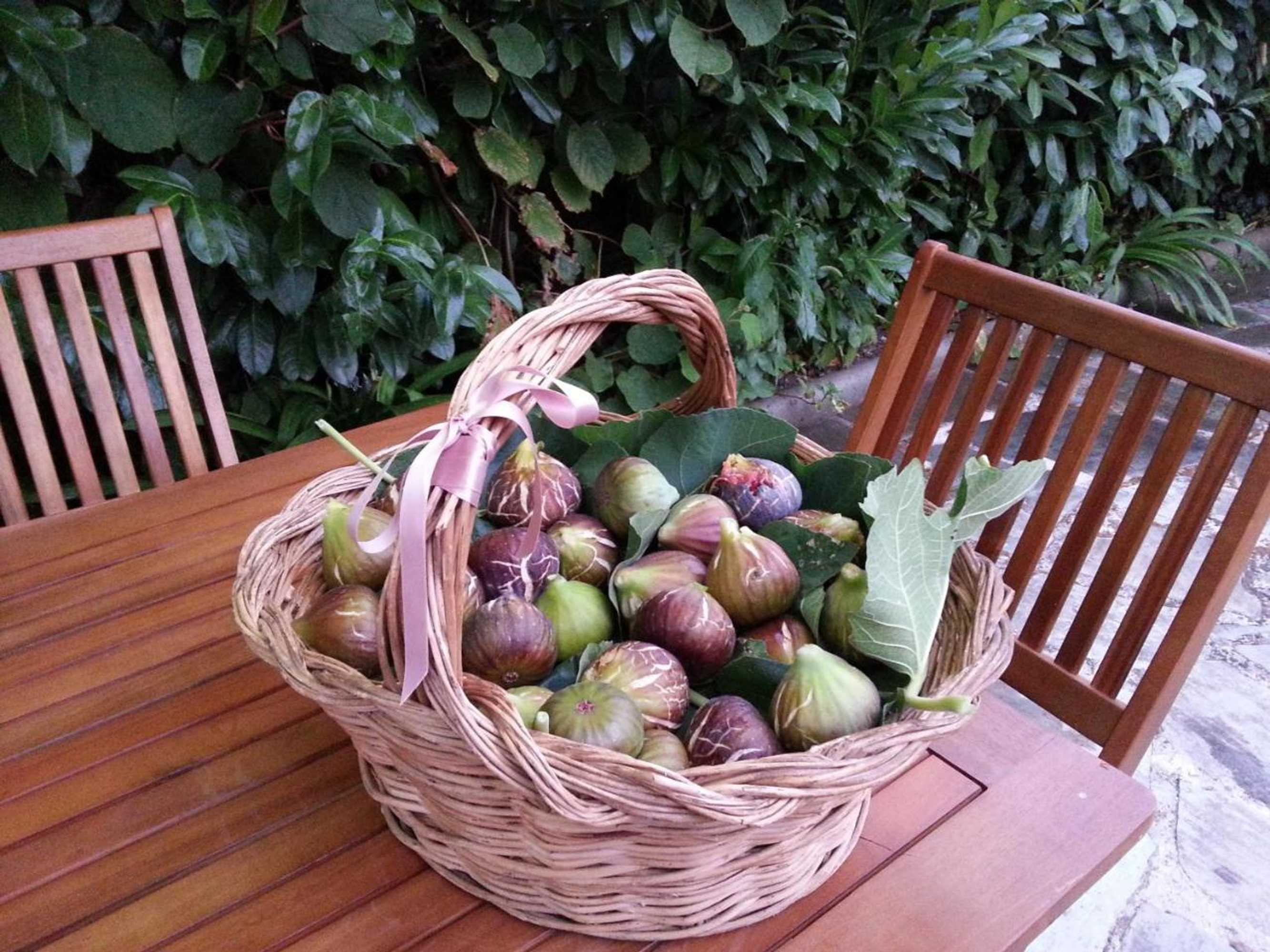 Gift card for O Zé Já Dormiu Aqui