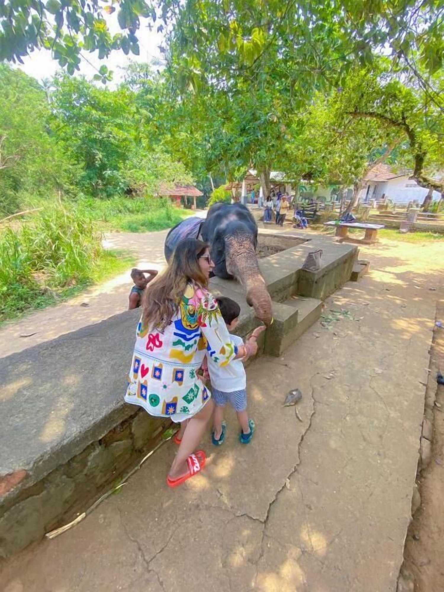 Gift card for Elepath Lodge - Pinnawala