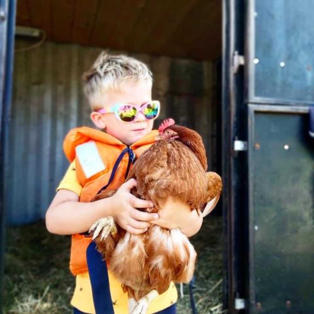 Gift card for Ruyge Weyde Logies, Eco Farm