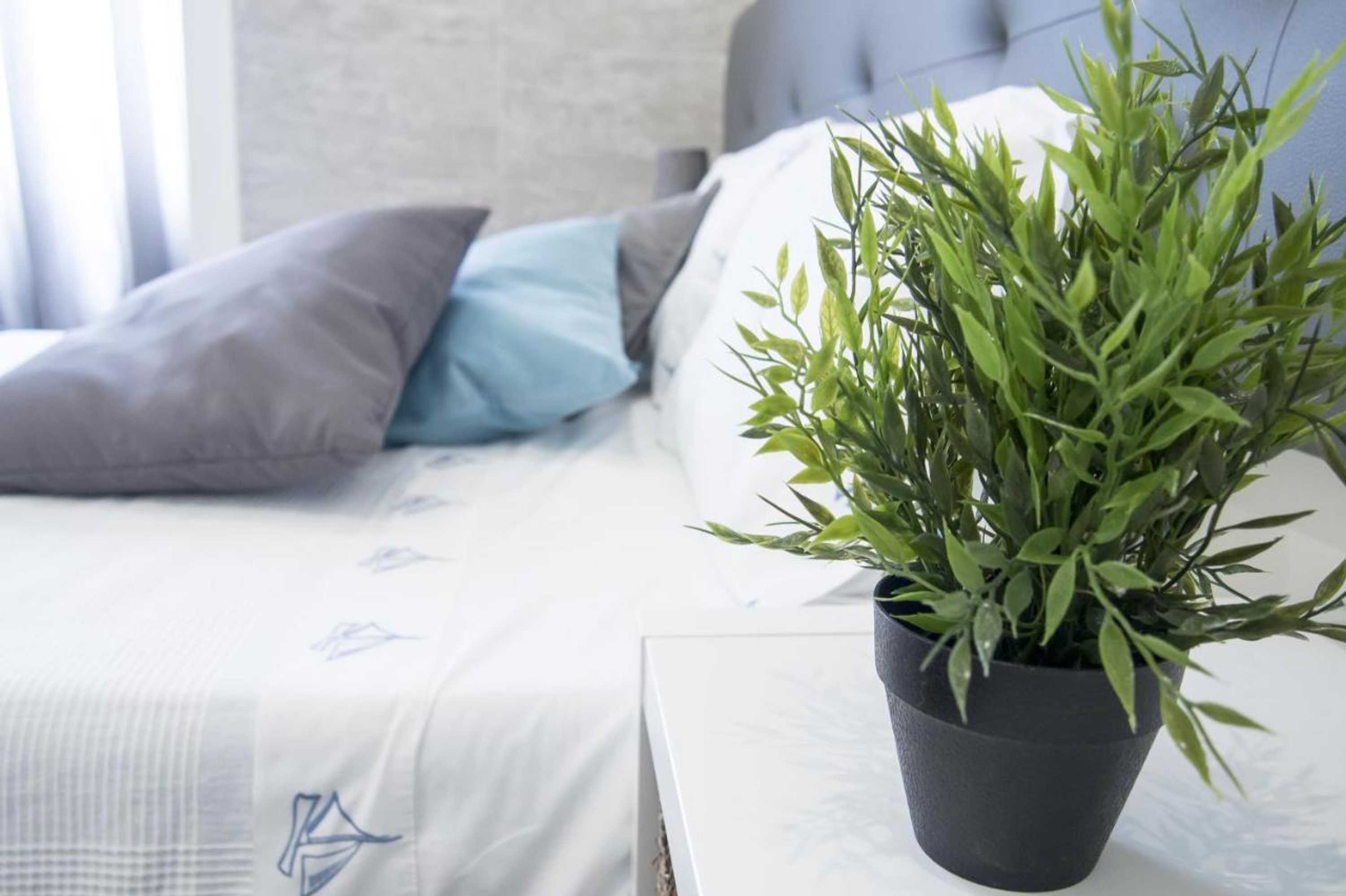 Gift card for Furabeach Alojamentos