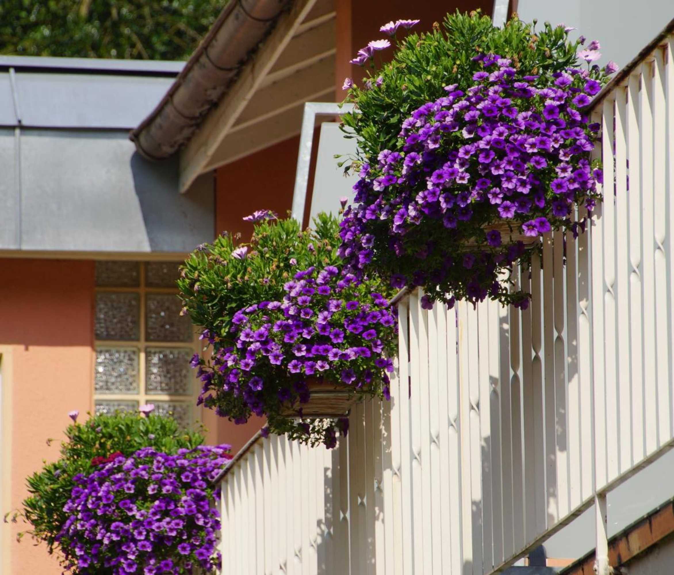 Gift card for Hotel Morgensonne
