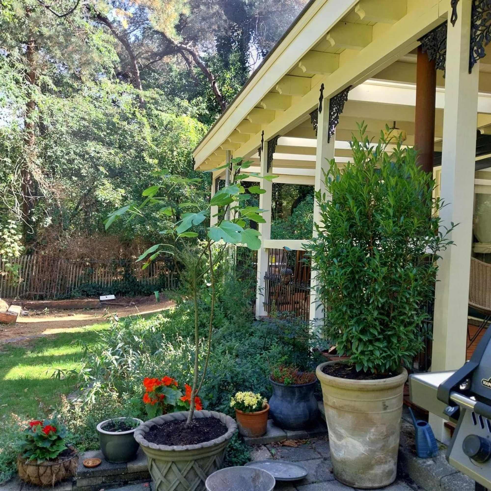 Gift card for Bosgeluk