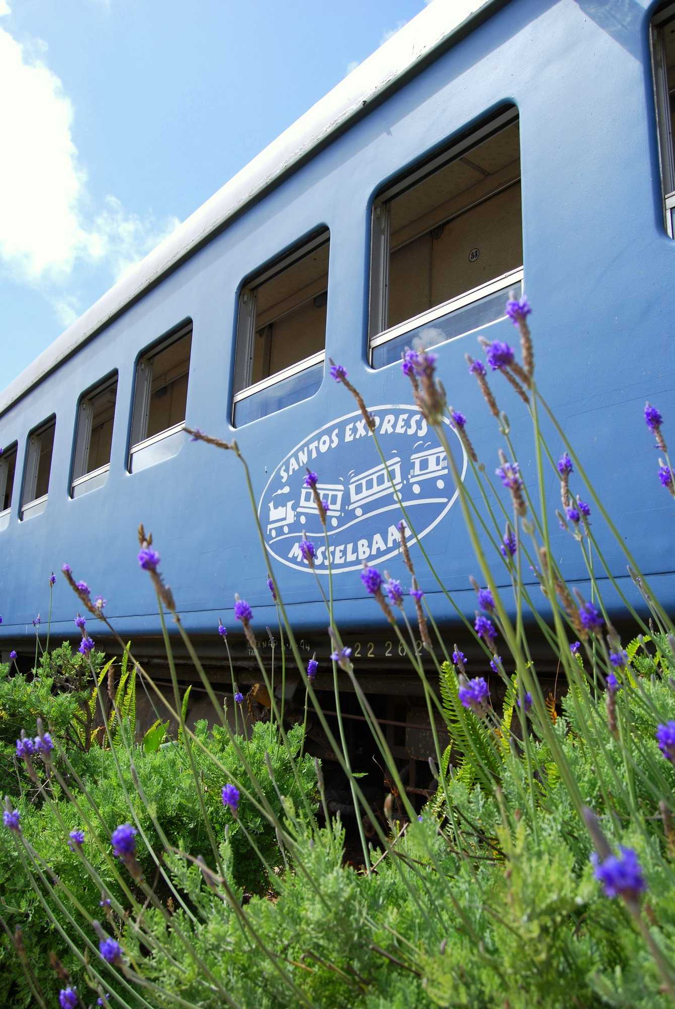 Gift card for Santos Express Train Lodge - Hostel