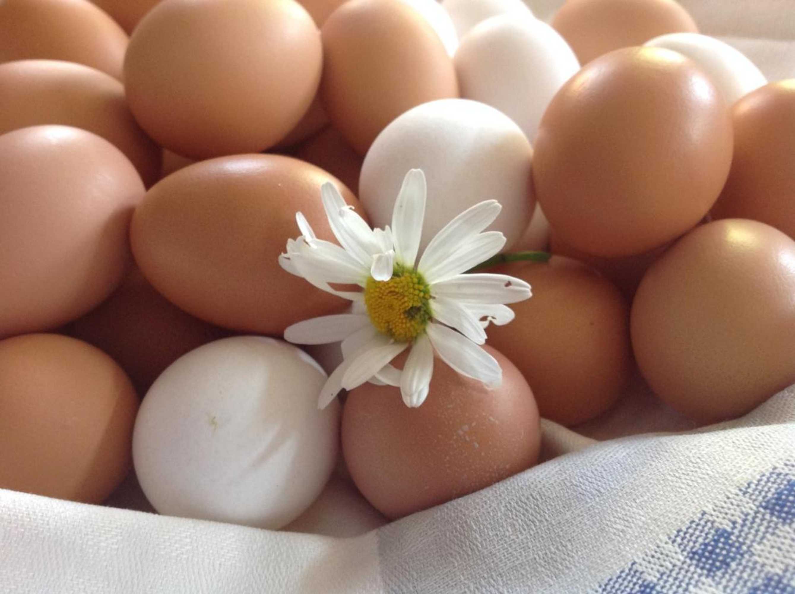 Gift card for Landhaus-Apartments