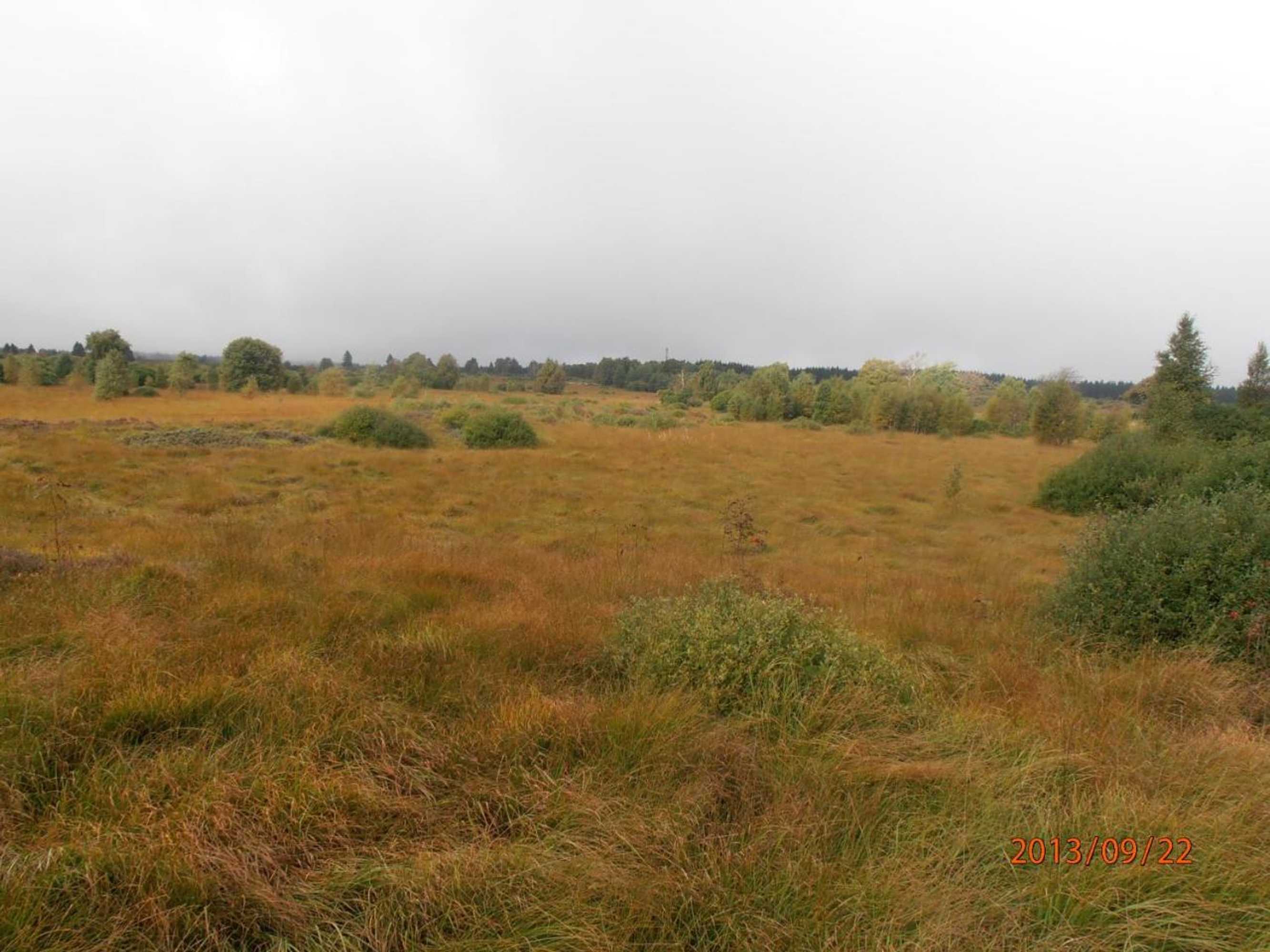 Gift card for Ferienwohnung Peters