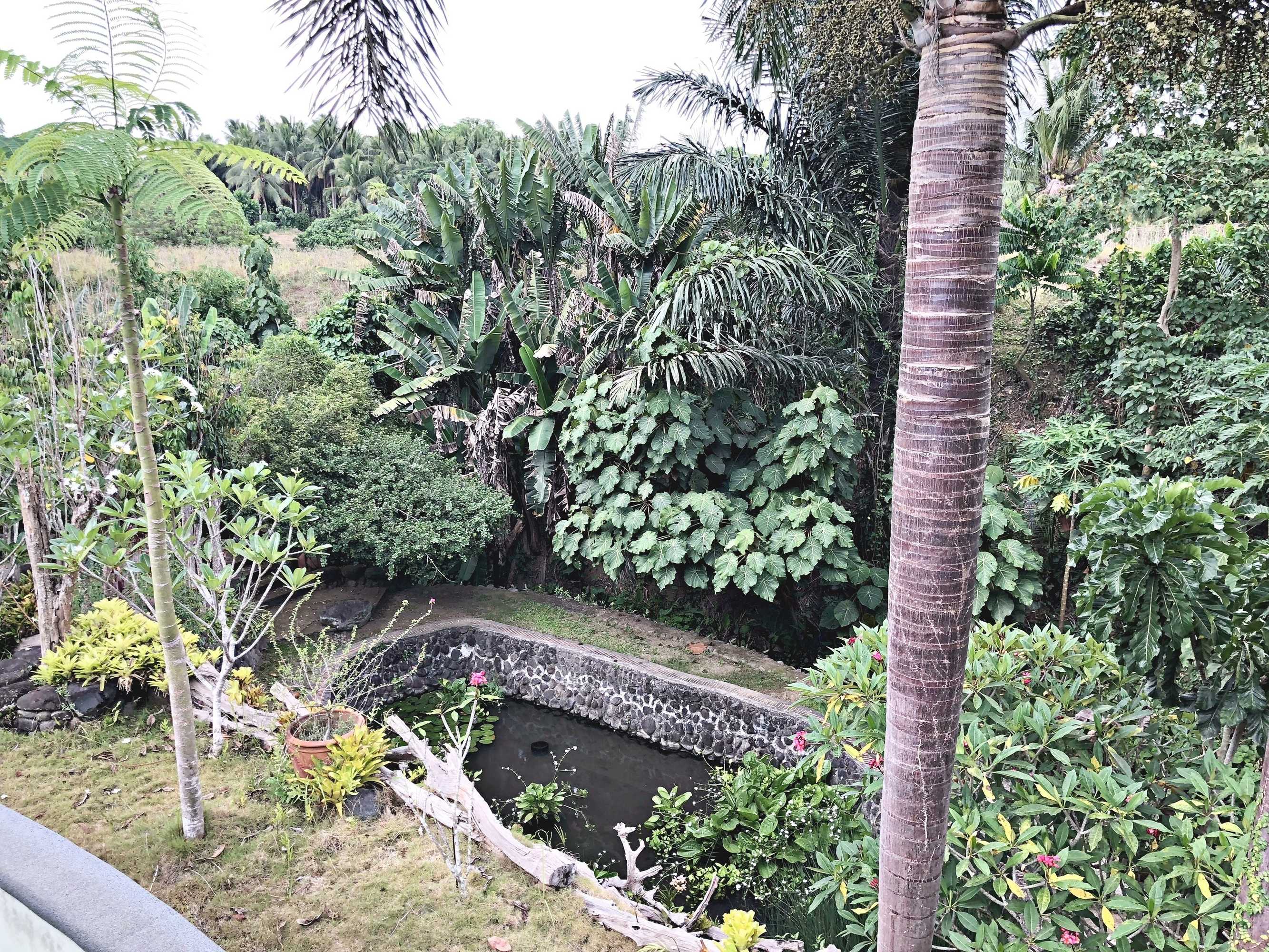 Gift card for Overlooking Lagoon at Sitio de Amor Gift card for Overlooking Lagoon at Sitio de Amor