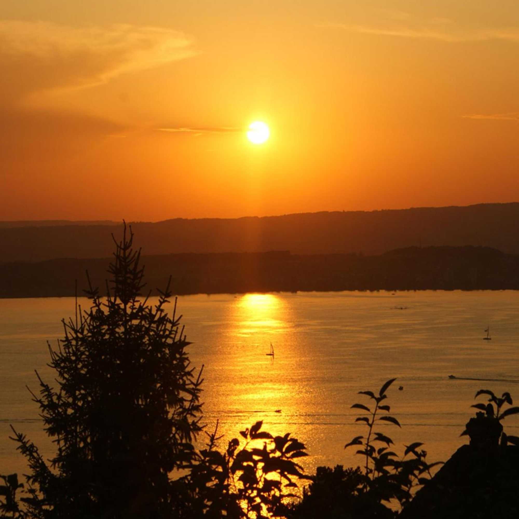 Gift card for Guggital Hotel Restaurant