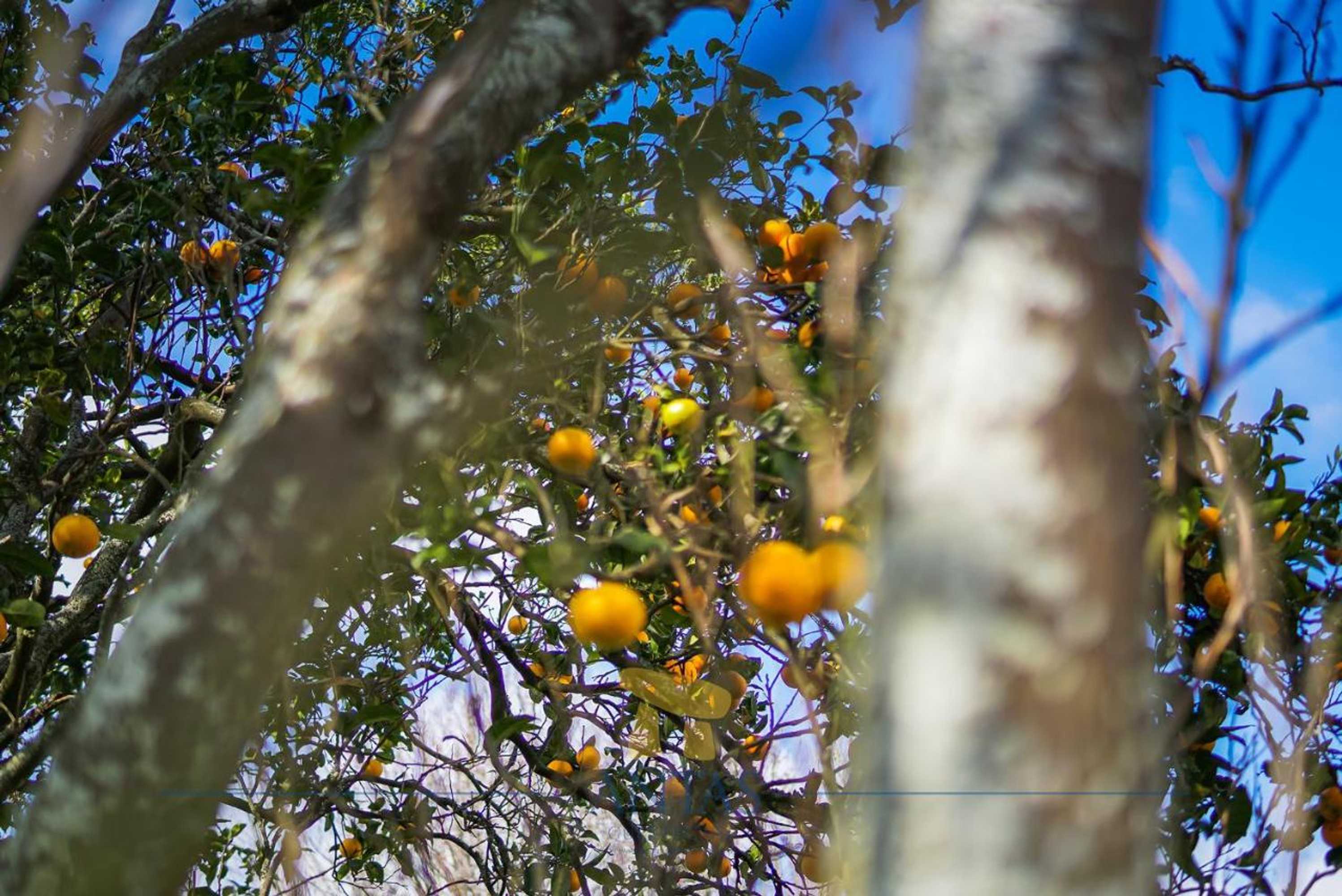 Gift card for Antas Guest House