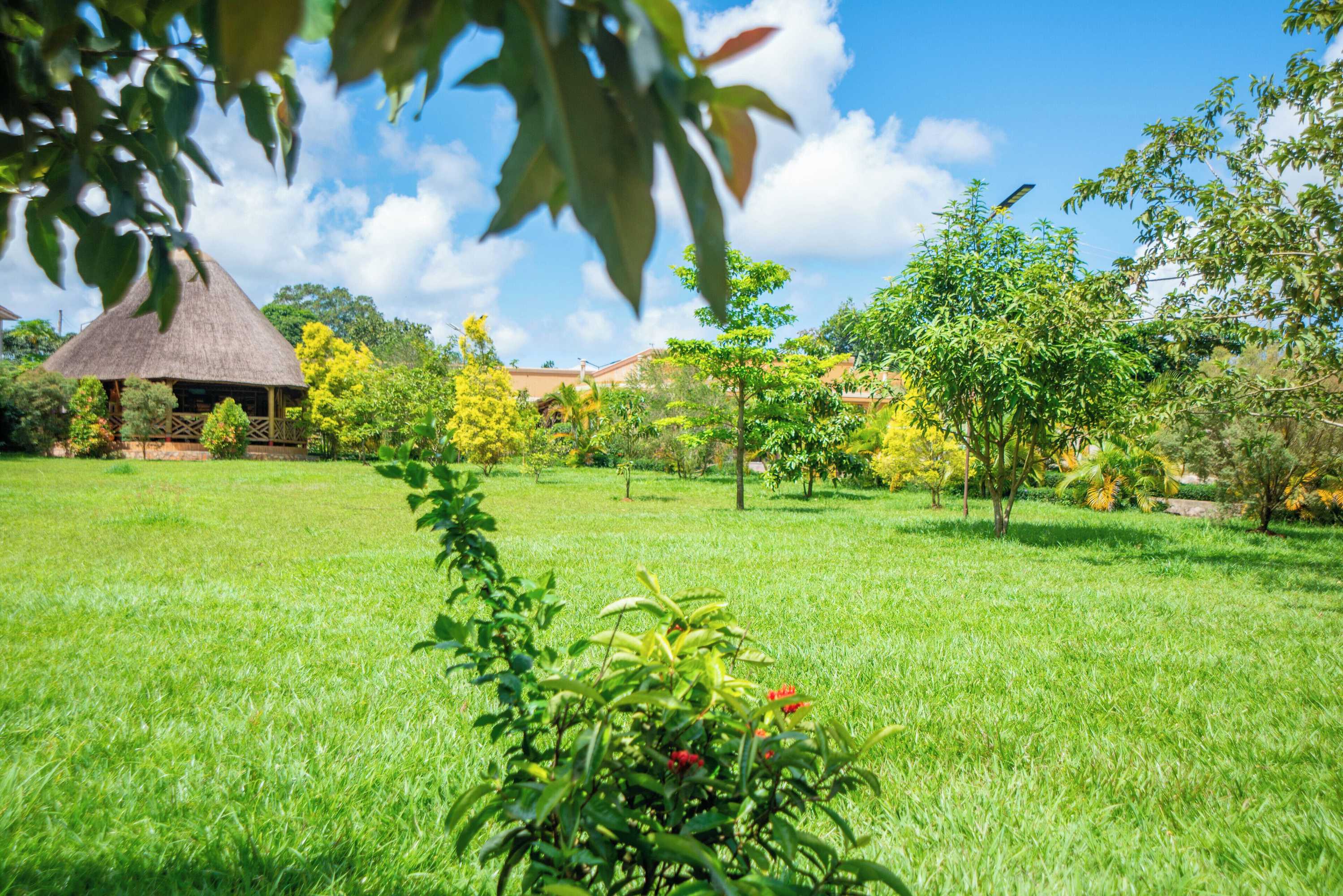 Gift card for African Roots Entebbe Gift card for African Roots Entebbe