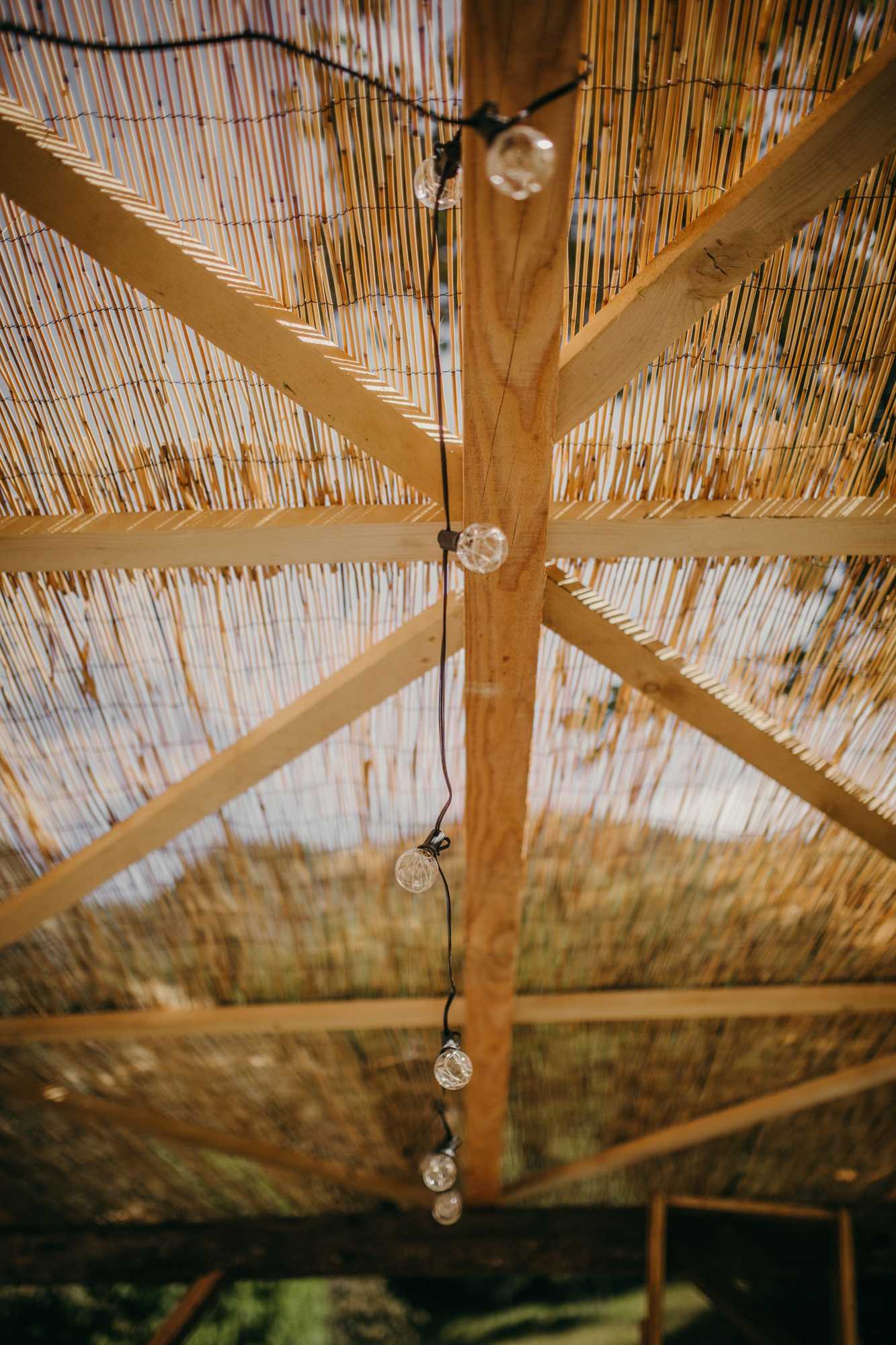 Gift card for Maso Nel Bosco