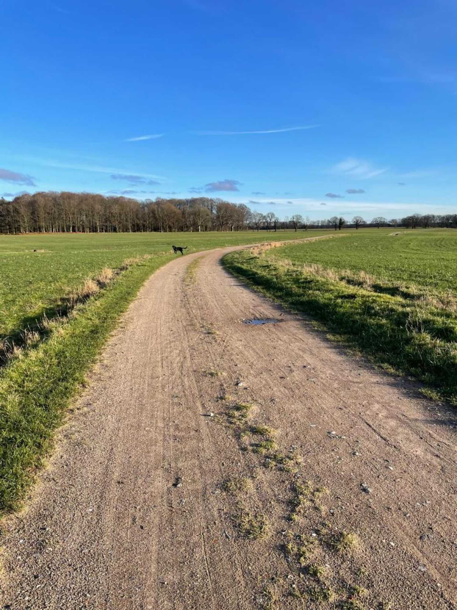 Gift card for Gut Hohenstein