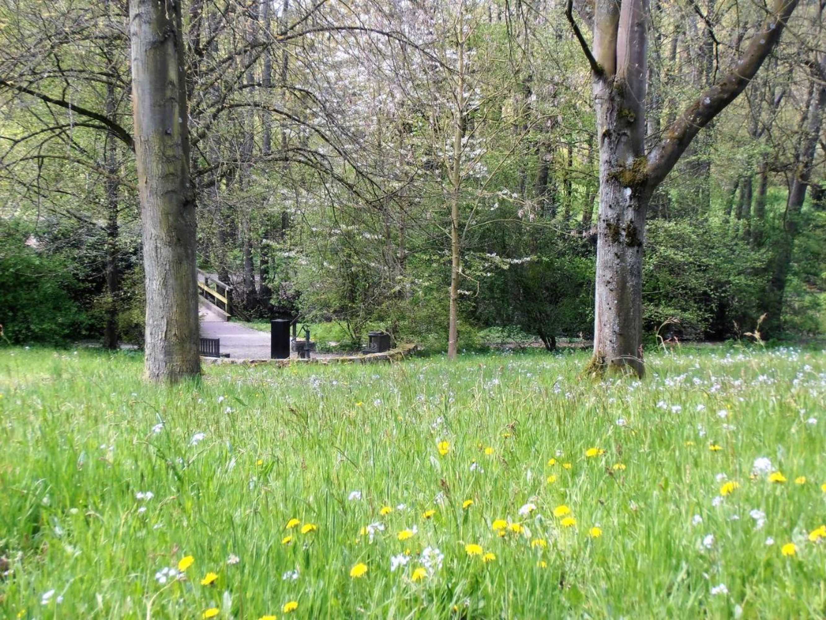 Gift card for Gasthaus Schadde