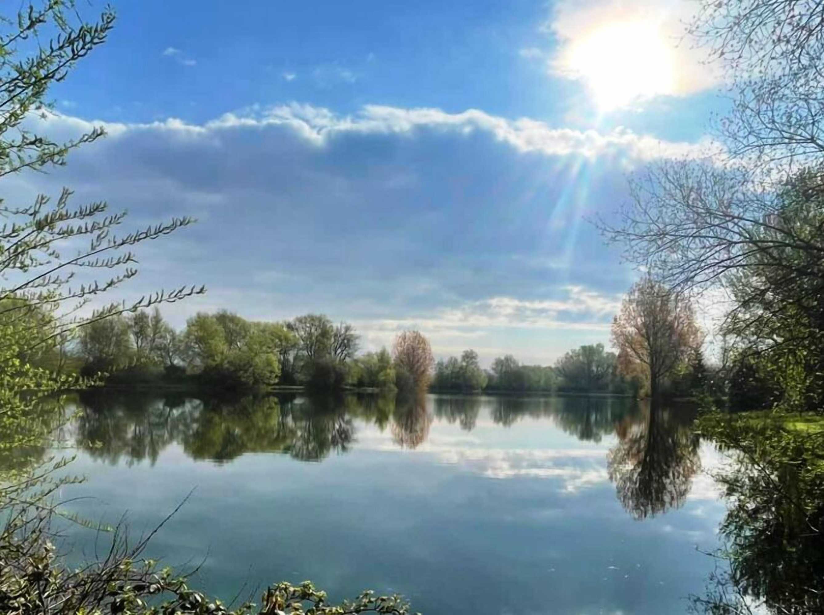 Gift card for Pettifers Freehouse Hotel