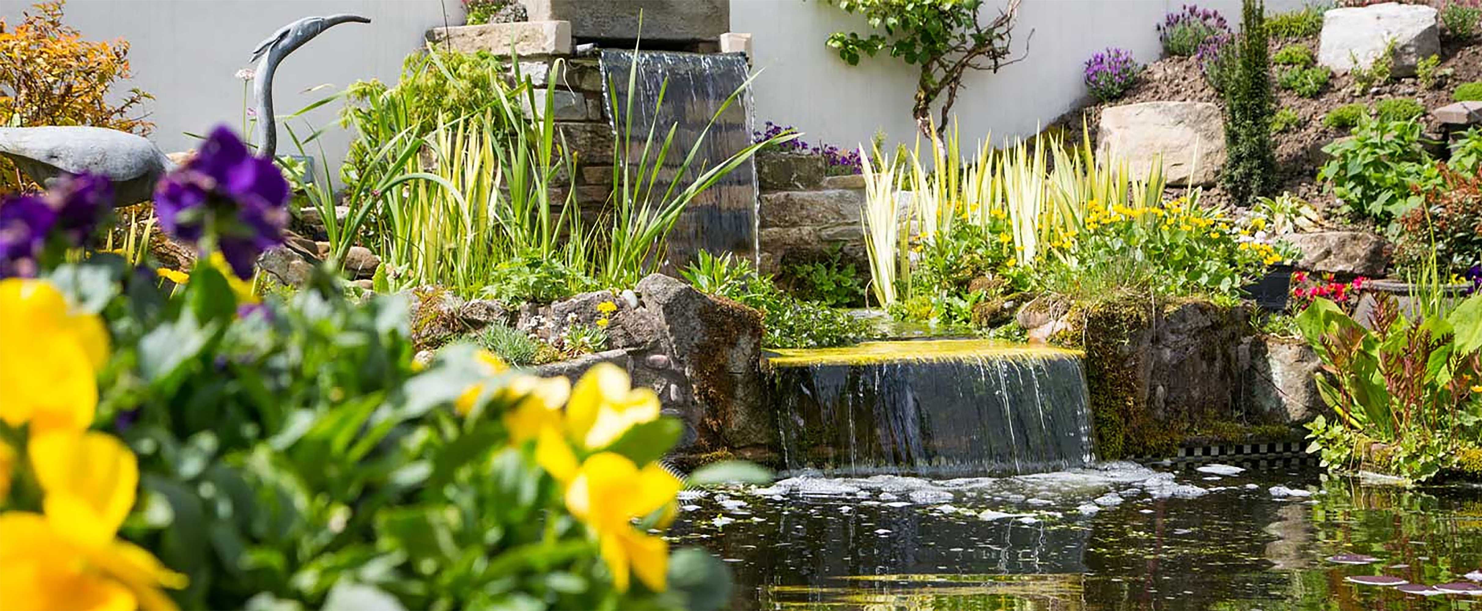 Gift card for Gibbon Bridge