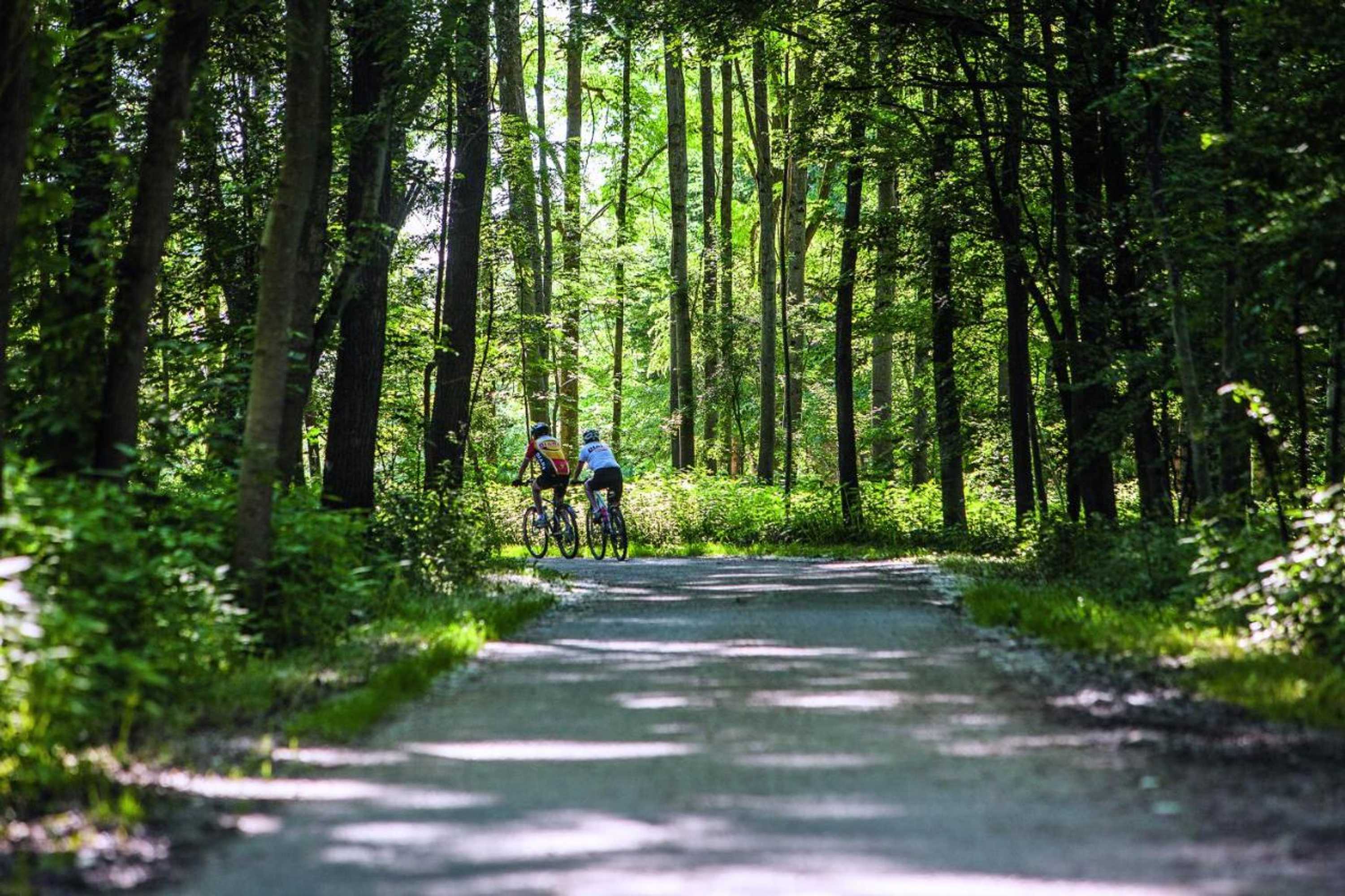 Gift card for Appartementhotel Cura Bad Füssing