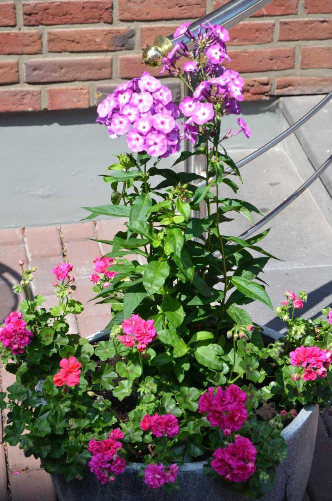 Gift card for Hotel Josten