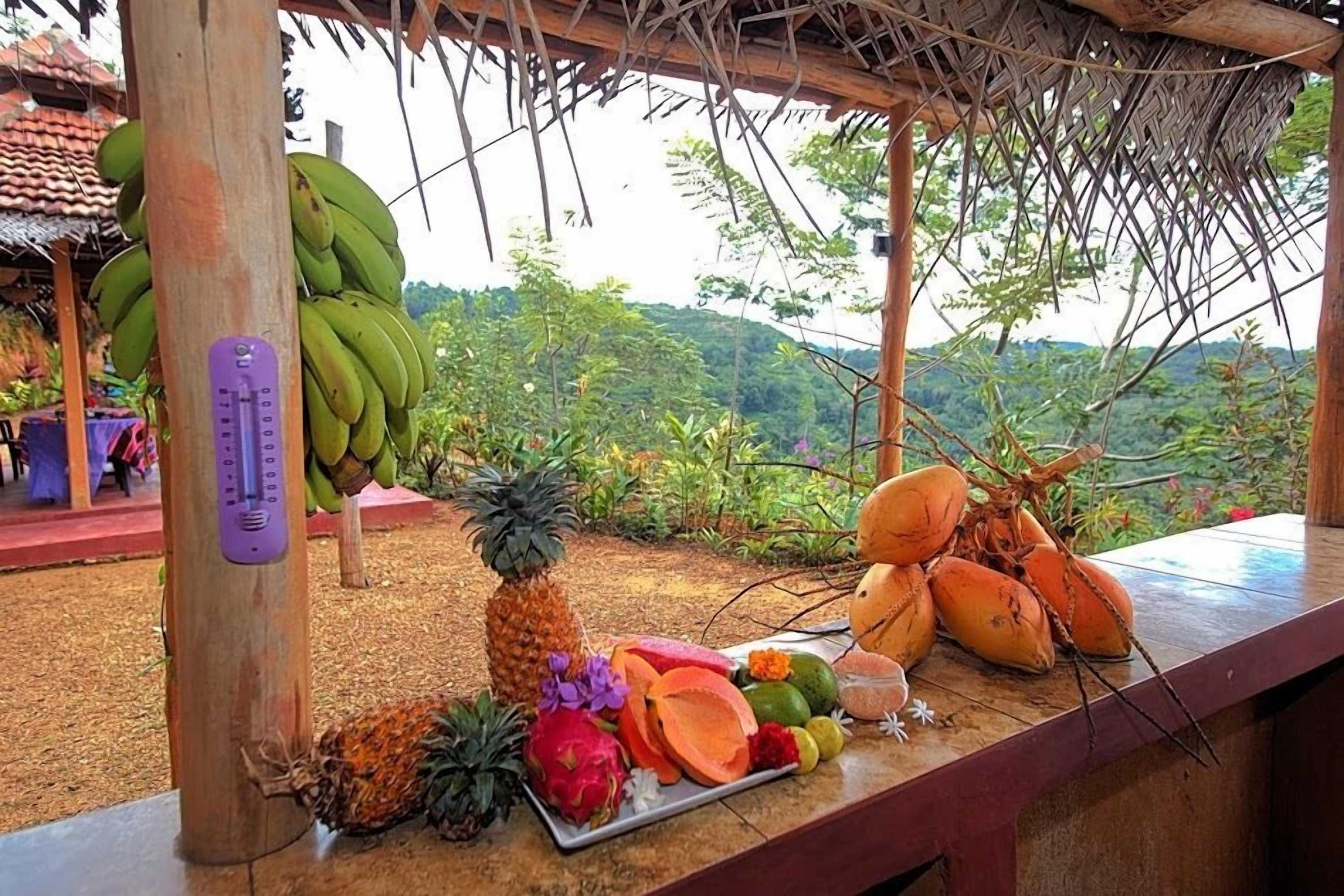 Gift card for Kurulu Estate