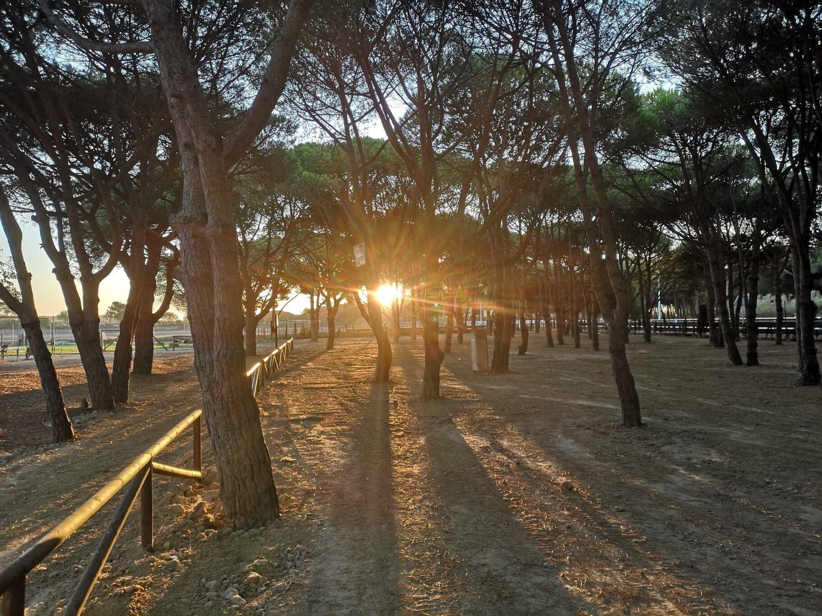 Gift card for Camping Playa Taray Gift card for Camping Playa Taray