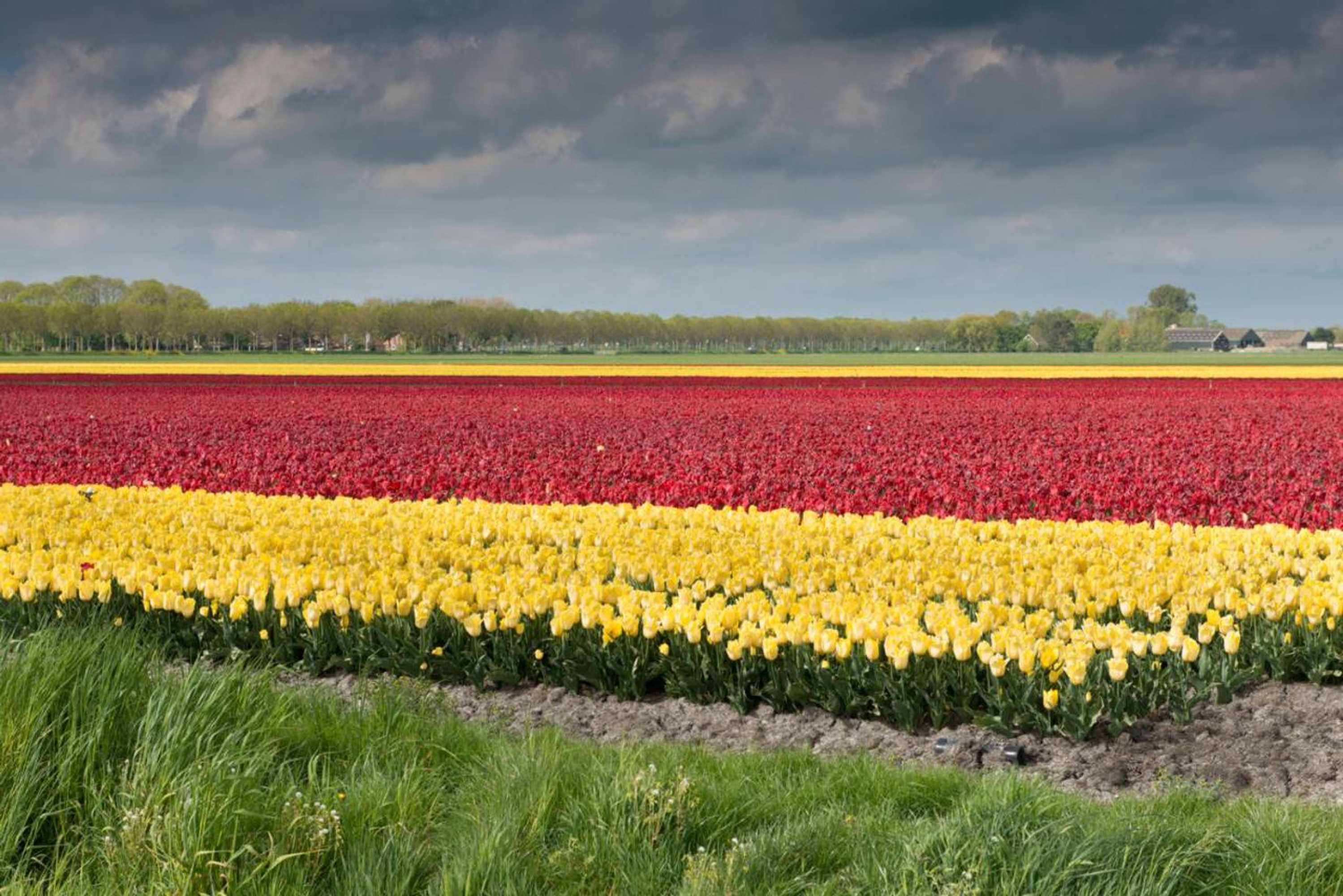 Gift card for Buitenplaats Langewijk