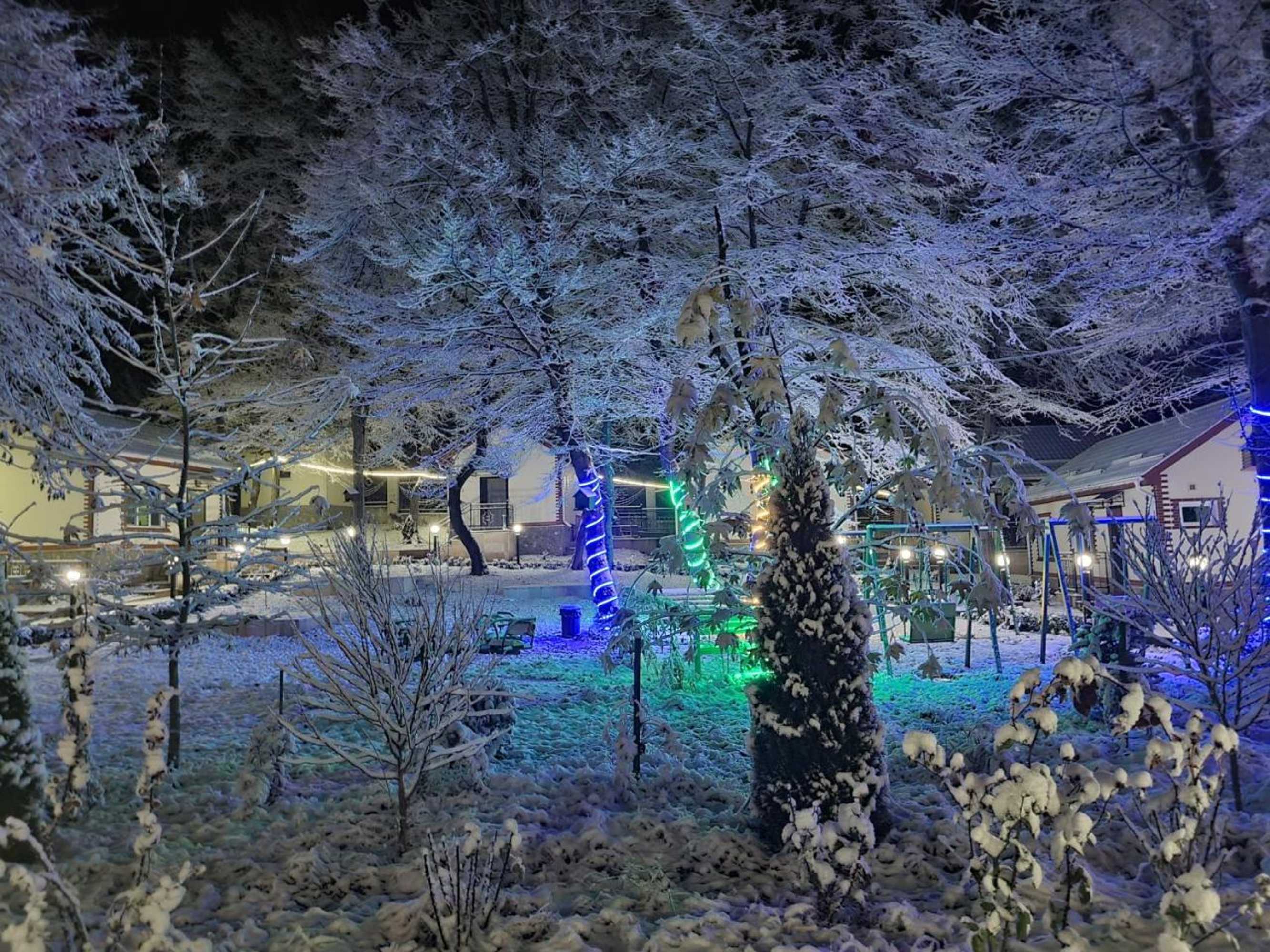 Gift card for Selena