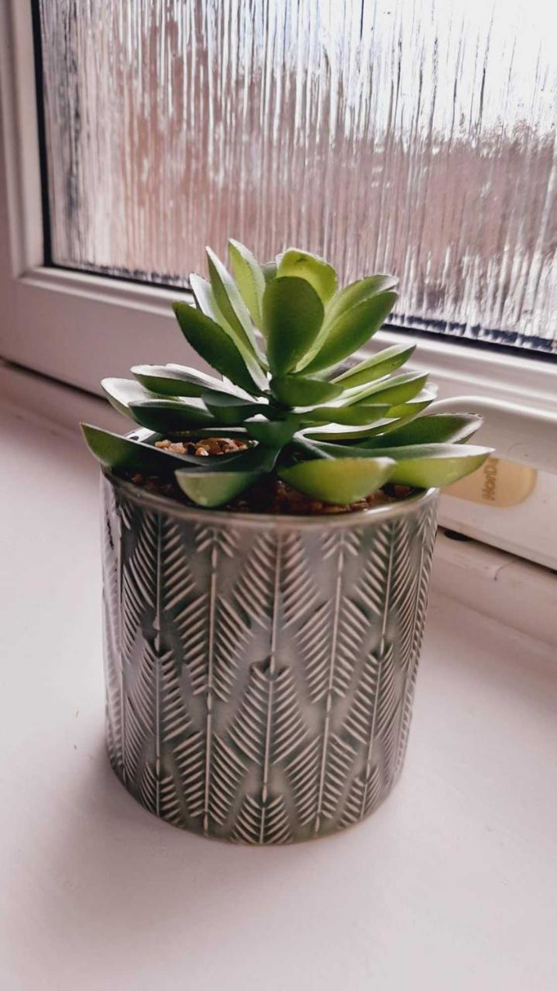 Gift card for Beauly Holiday Home