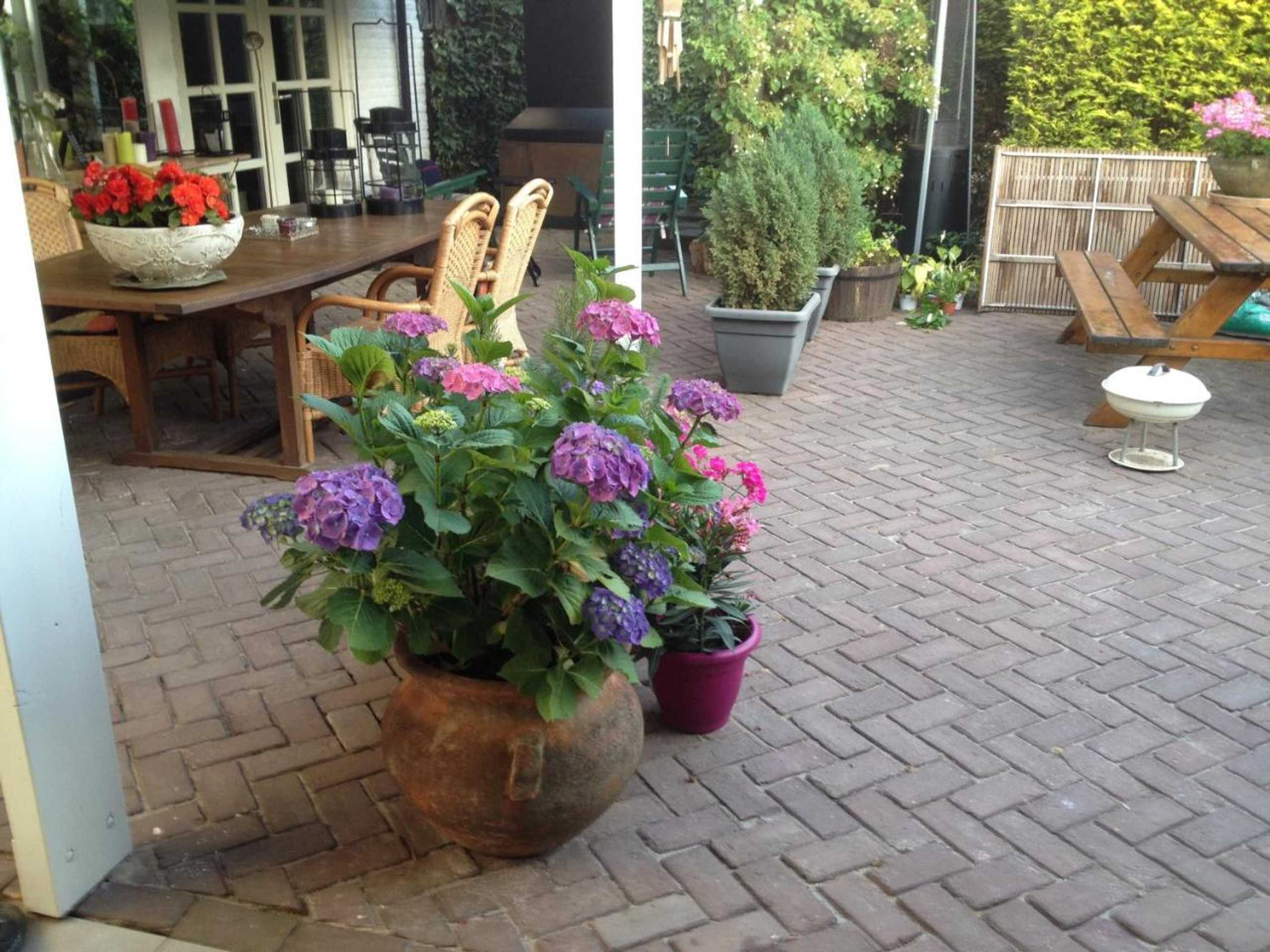 Gift card for Bed And Breakfast Azzurro