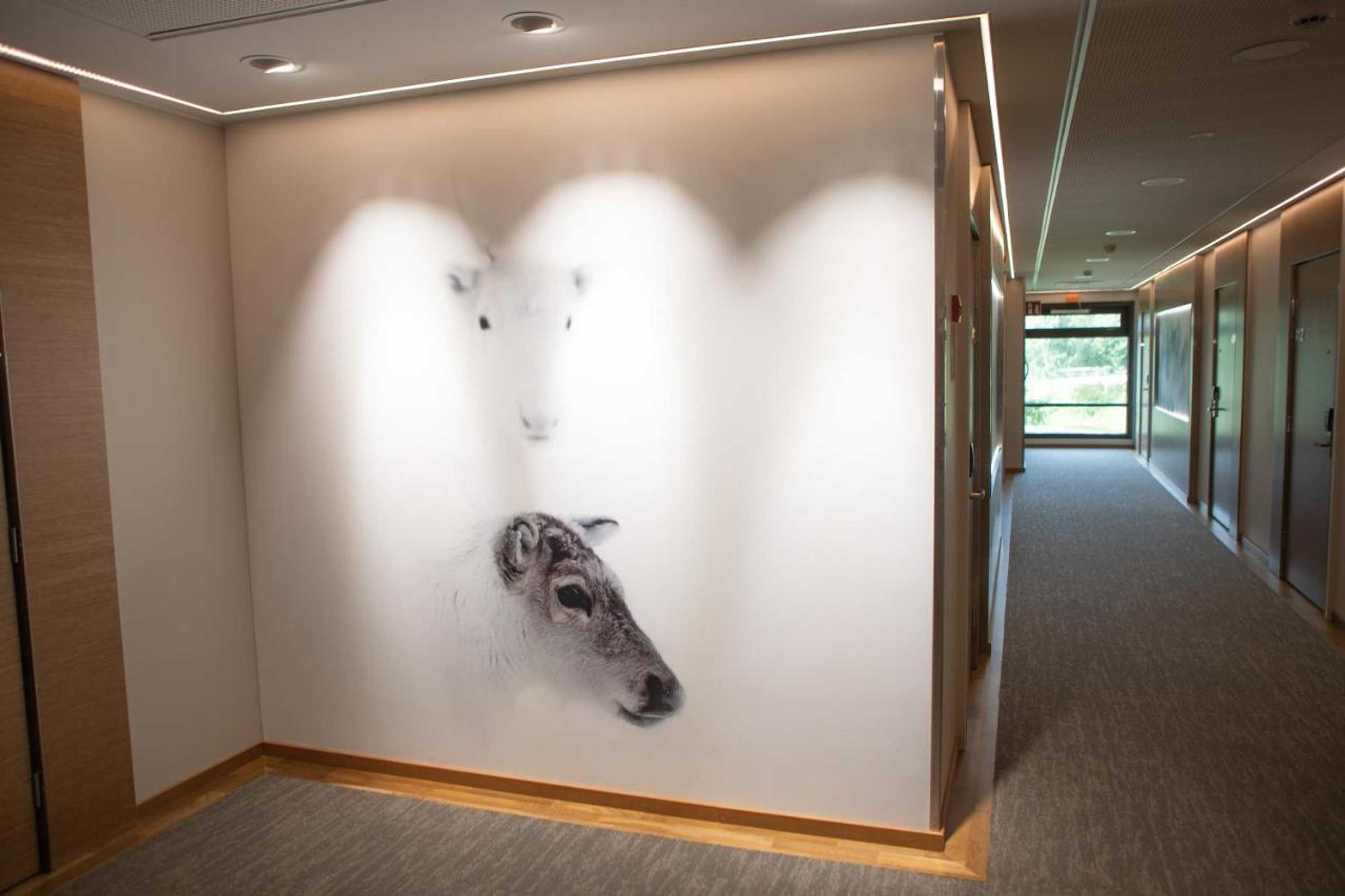 Gift card for Hotel Kultahippu